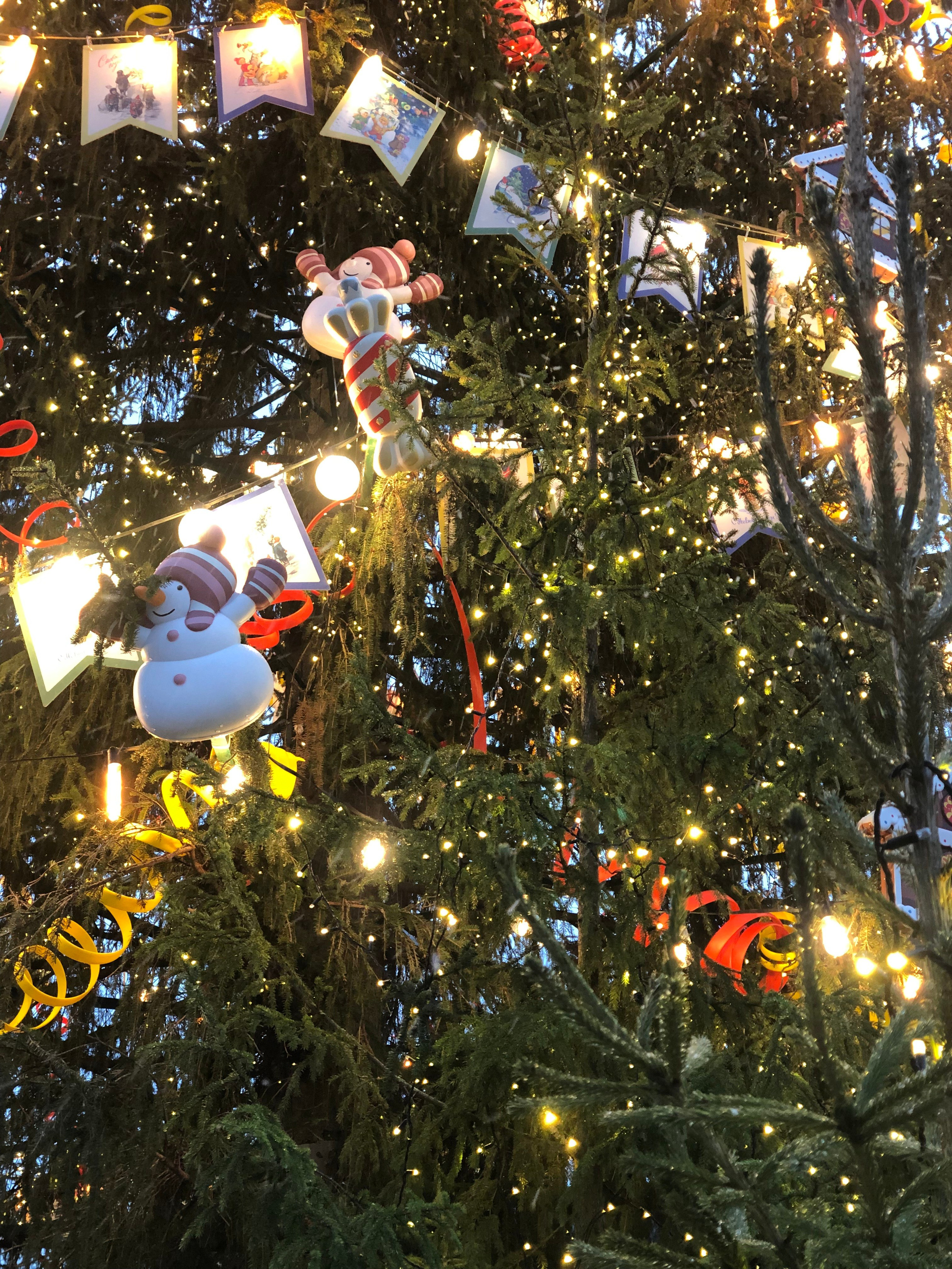 Декабрь. Семейный, Свадебный фотограф СПБ Питер— Романова Екатерина