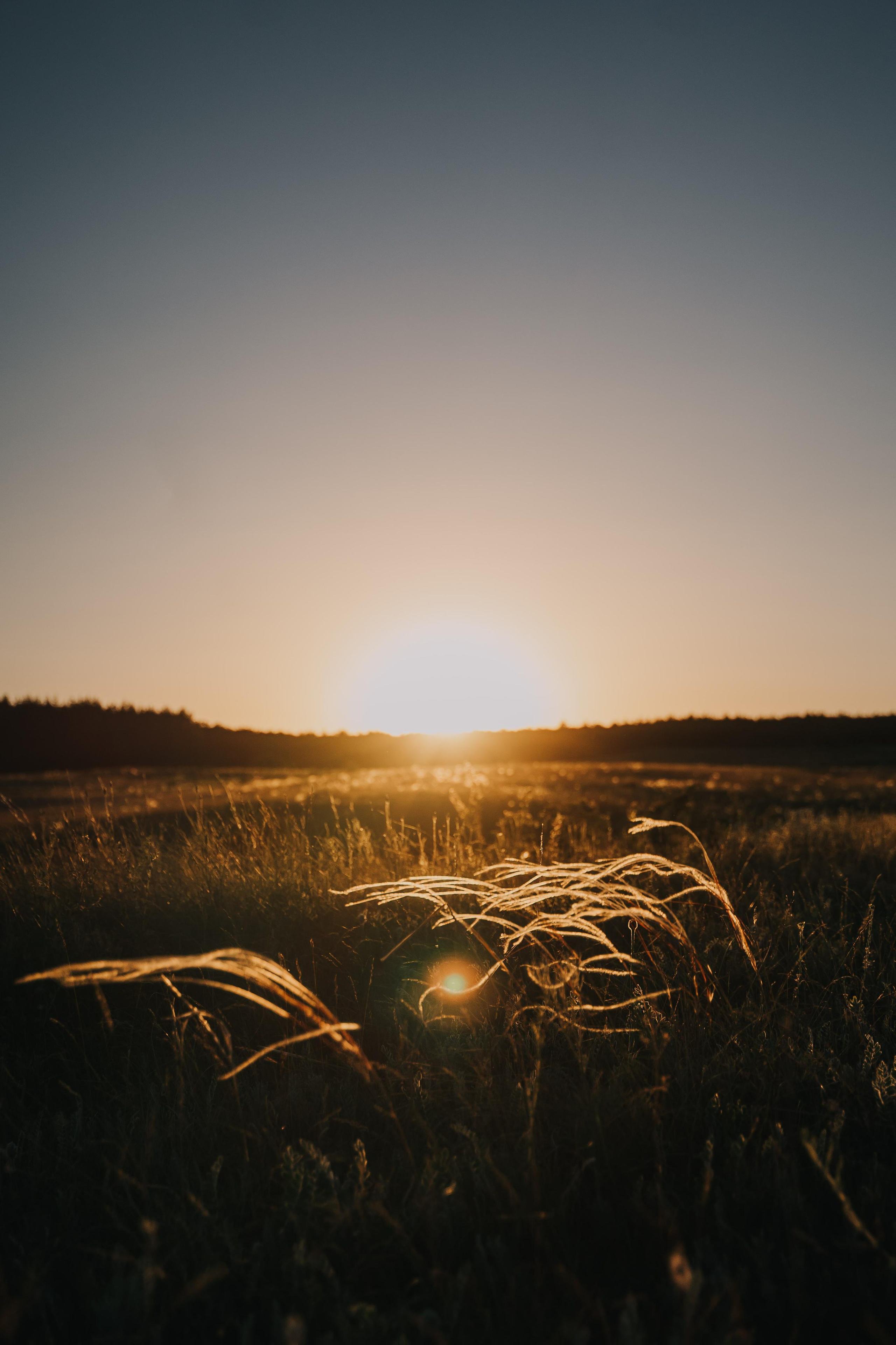Pregnant time. Локация — с. Поповка. Семейный фотограф в Саратове