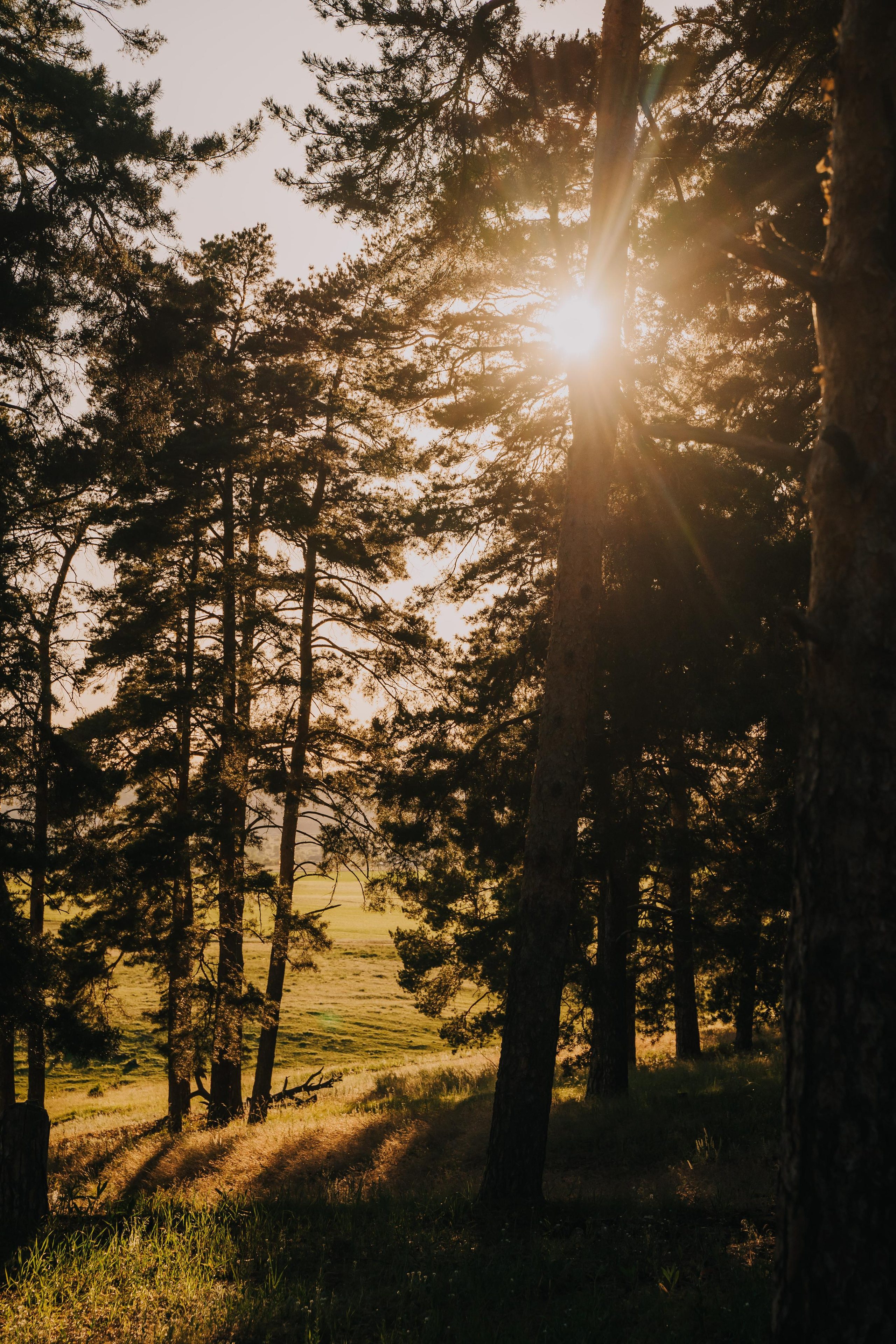 Pregnant time. Локация — с. Поповка. Семейный фотограф в Саратове