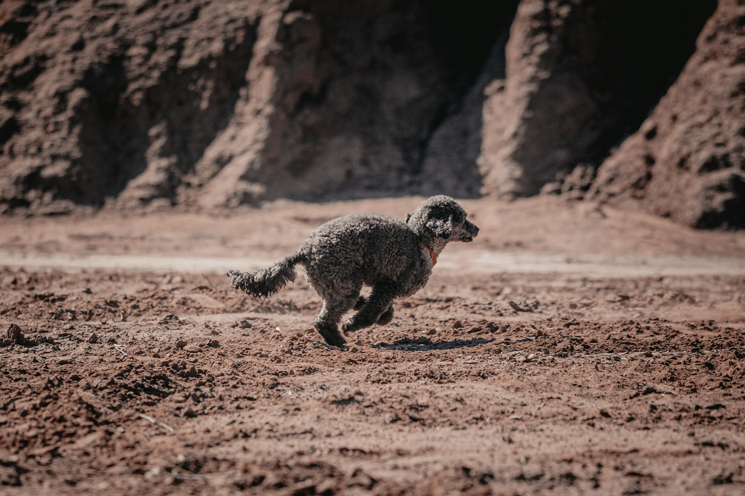 Кондуки. Фотограф-анималист Татьяна Степанова