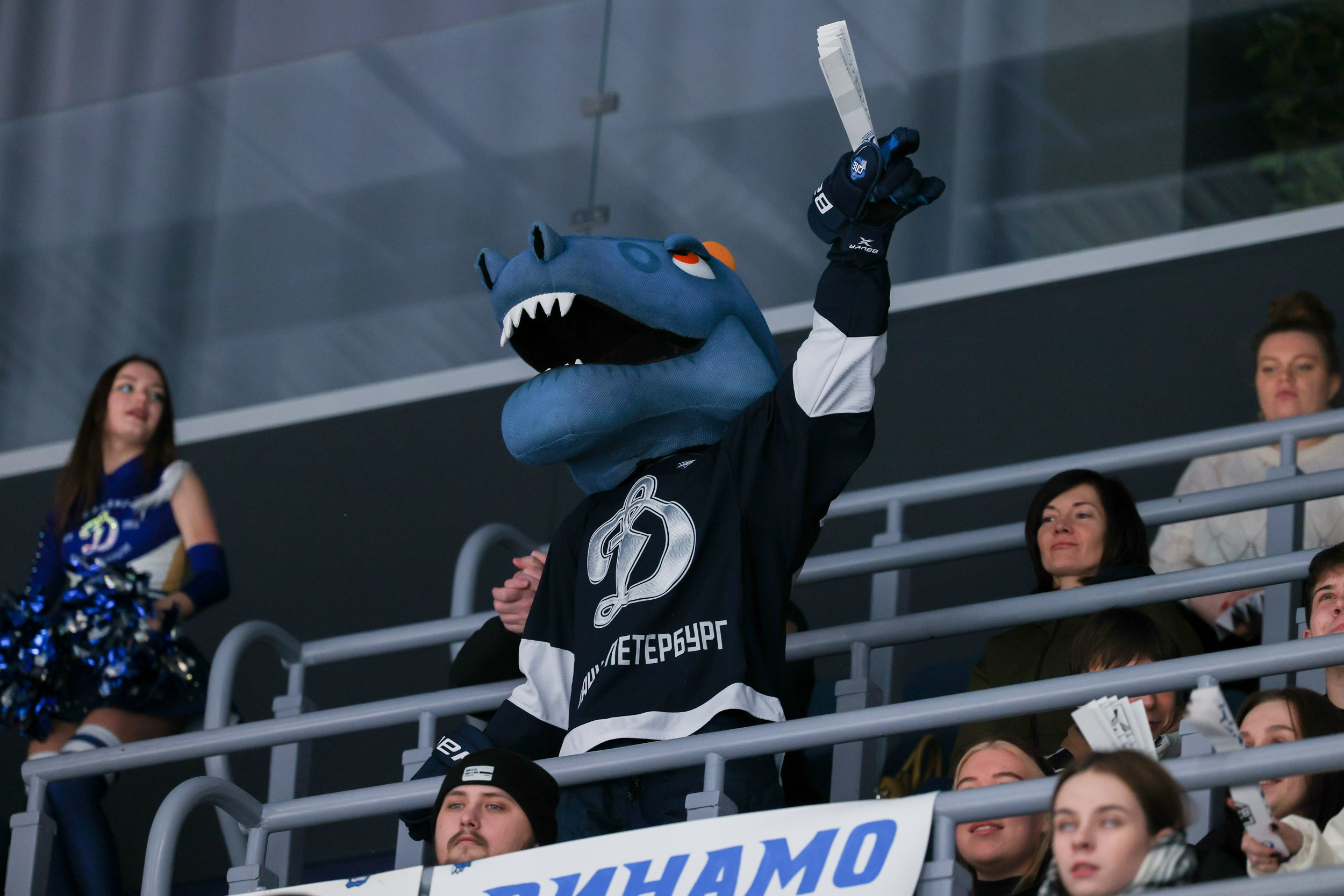 МХК Динамо — МХК Спартак. Фотограф Александр Заломаев