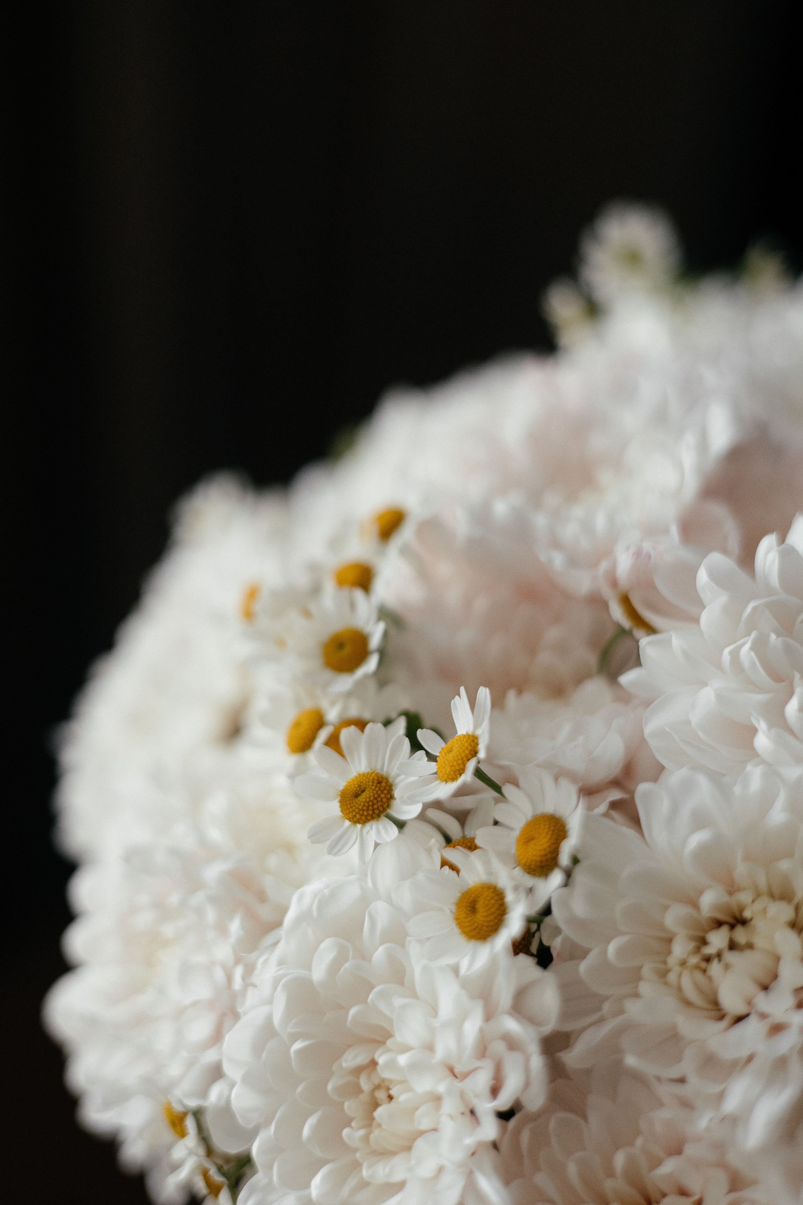 Сборы невесты