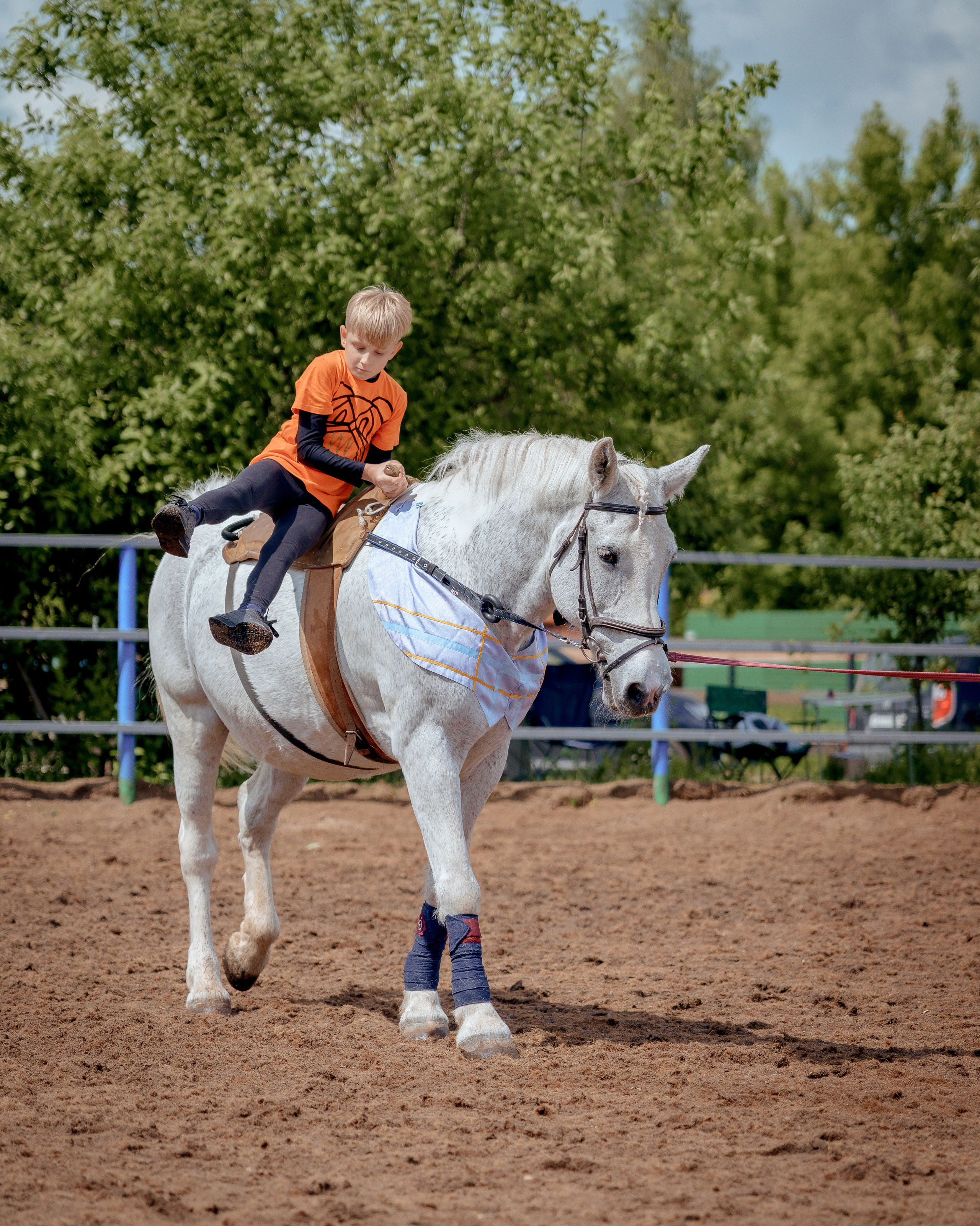 Конный клуб Горки. Портретный и семейный фотограф в Москве/Видное