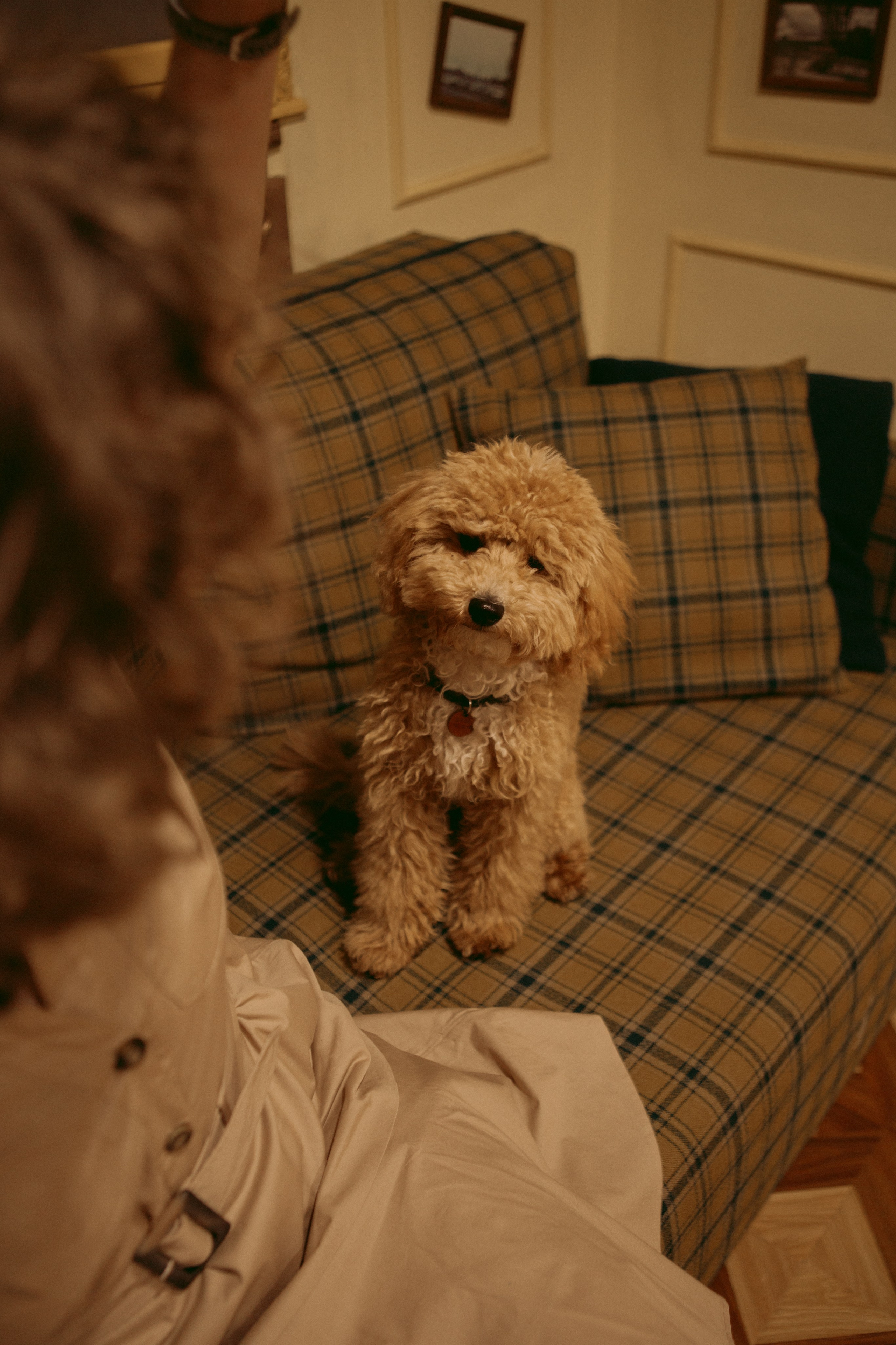 A cinematic daydream in the spirit of Wes Anderson’s style. Portrait, family and pet photographer in Cyprus, Ksenia Bourdelle