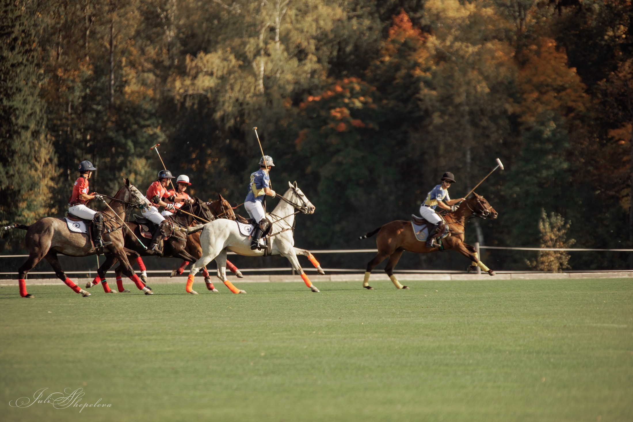 Осенний кубок по конному поло. Детская Конная фотография в Москве Юлия Шепелева