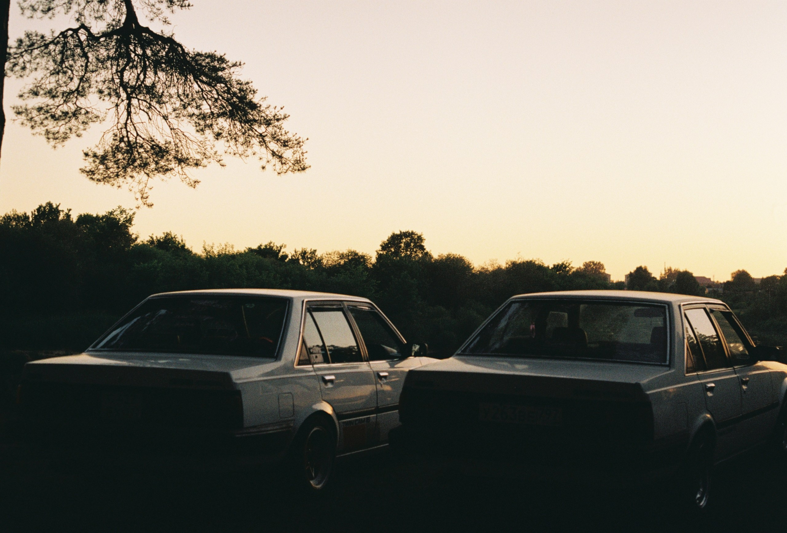 Rotten Rice Meet 2022 / 1. Автомобильный фотограф в Москве Дмитрий Глазков