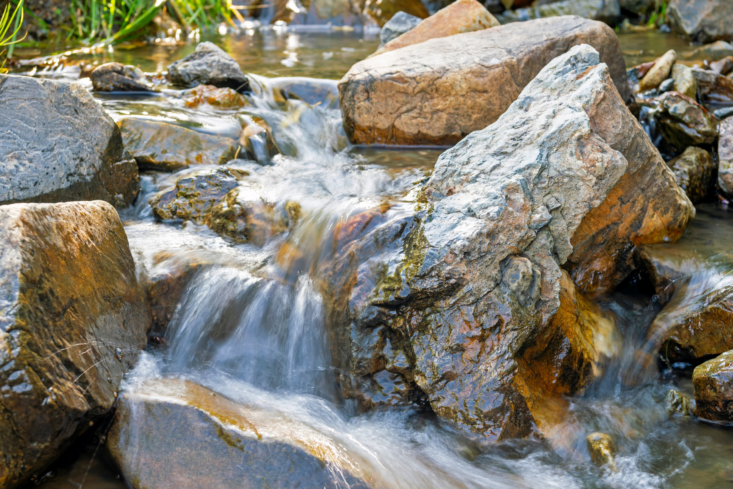 ПРИРОДА. От прошлого к будущему авиации через фотографию