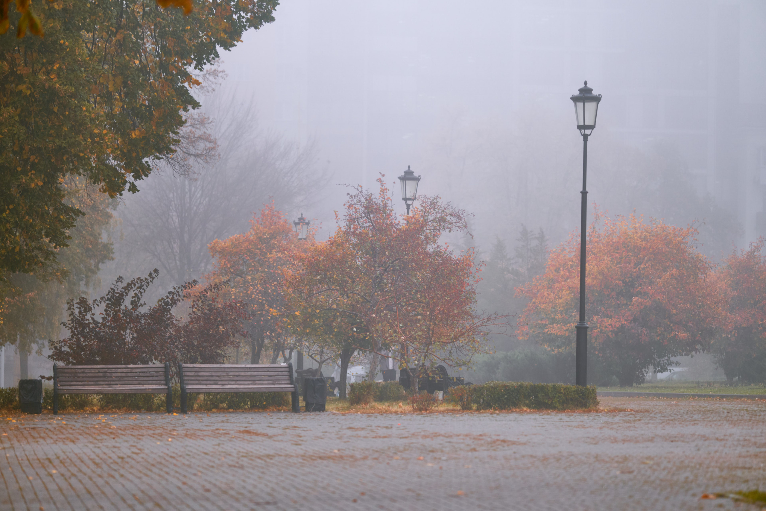 Фонарь освещает улицу в тумане, его свет размывается в плотной дымке