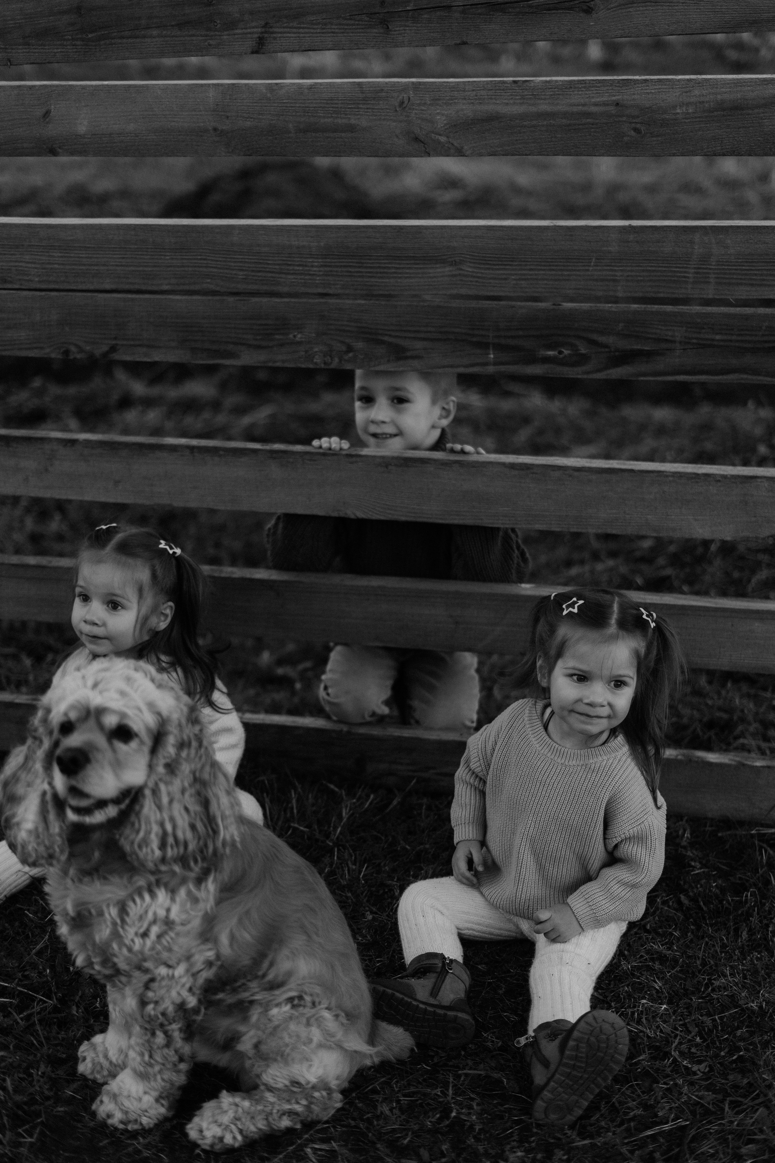 Алексей, Мария, Миша, Лиза и Соня. Главная