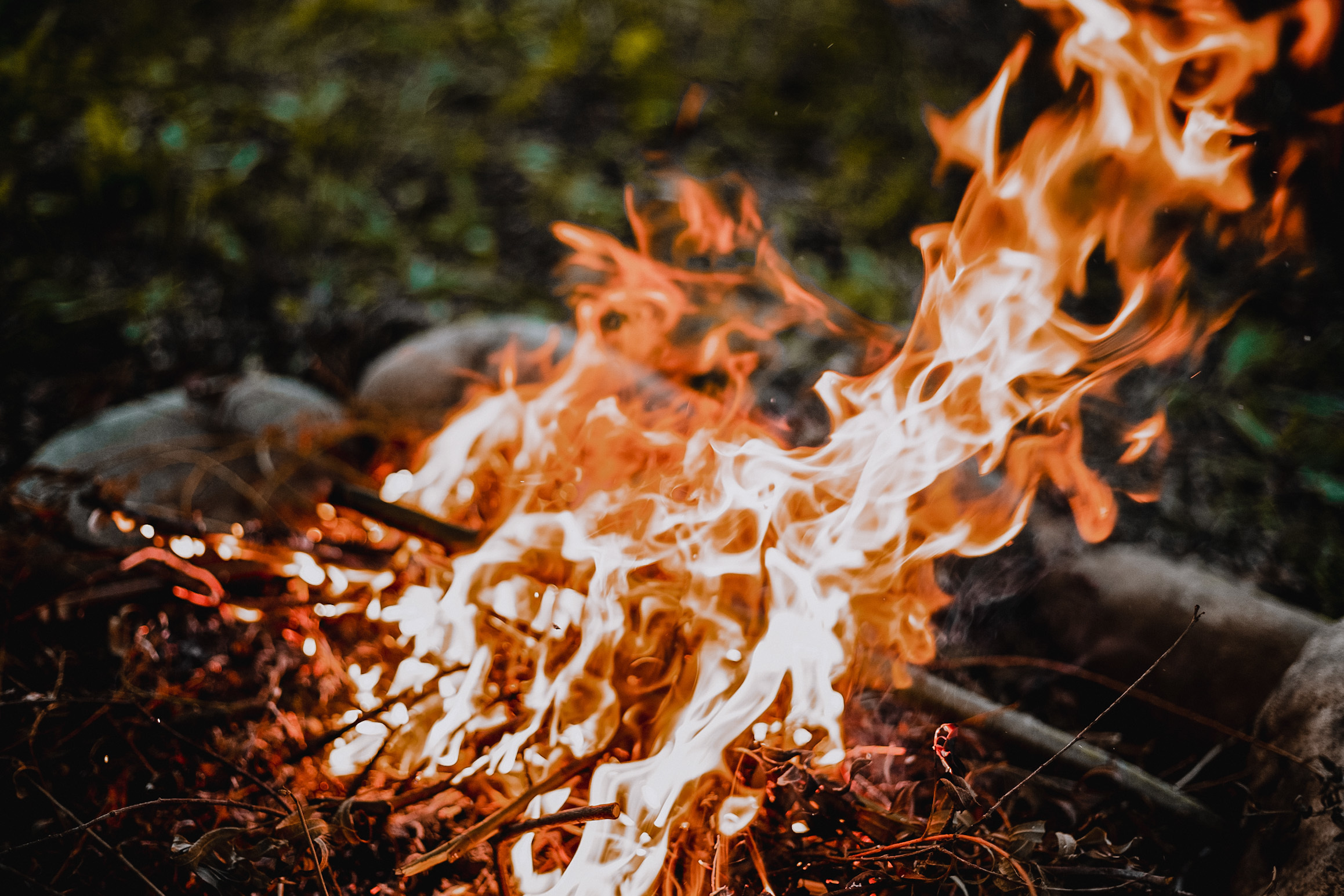 Влад &Тоня. Фотограф в Санкт Петербурге и Москве Анастасия Сиволод