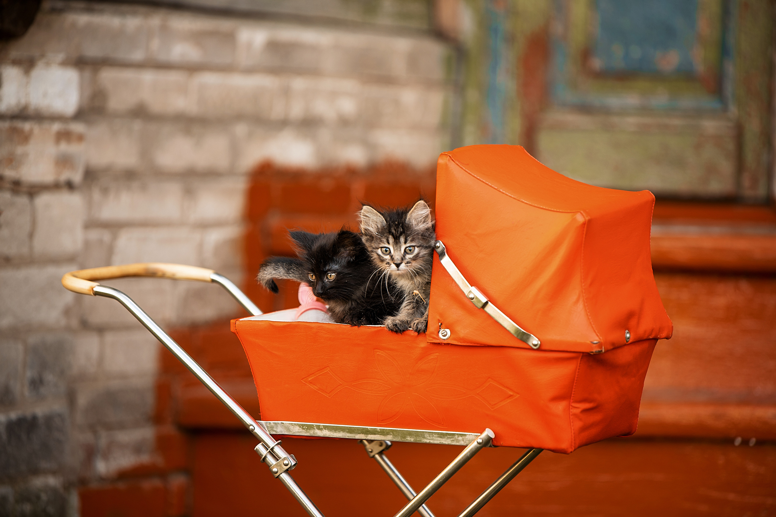 Все работы. Елена Чернигина семейный и детский фотограф в Нижнем Новгороде и Бор
