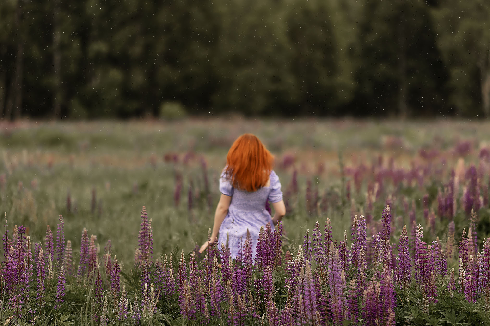 Все работы. Елена Чернигина семейный и детский фотограф в Нижнем Новгороде и Бор