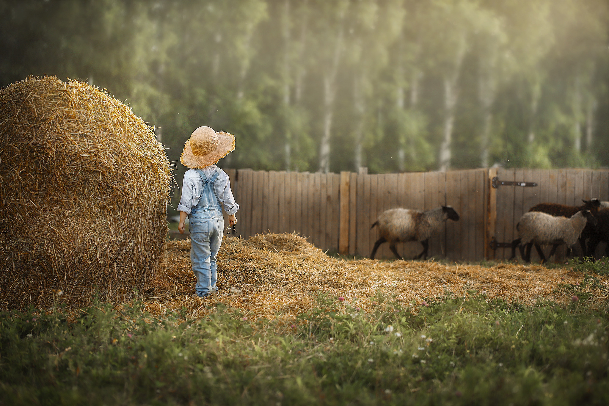 Все работы. Елена Чернигина семейный и детский фотограф в Нижнем Новгороде и Бор