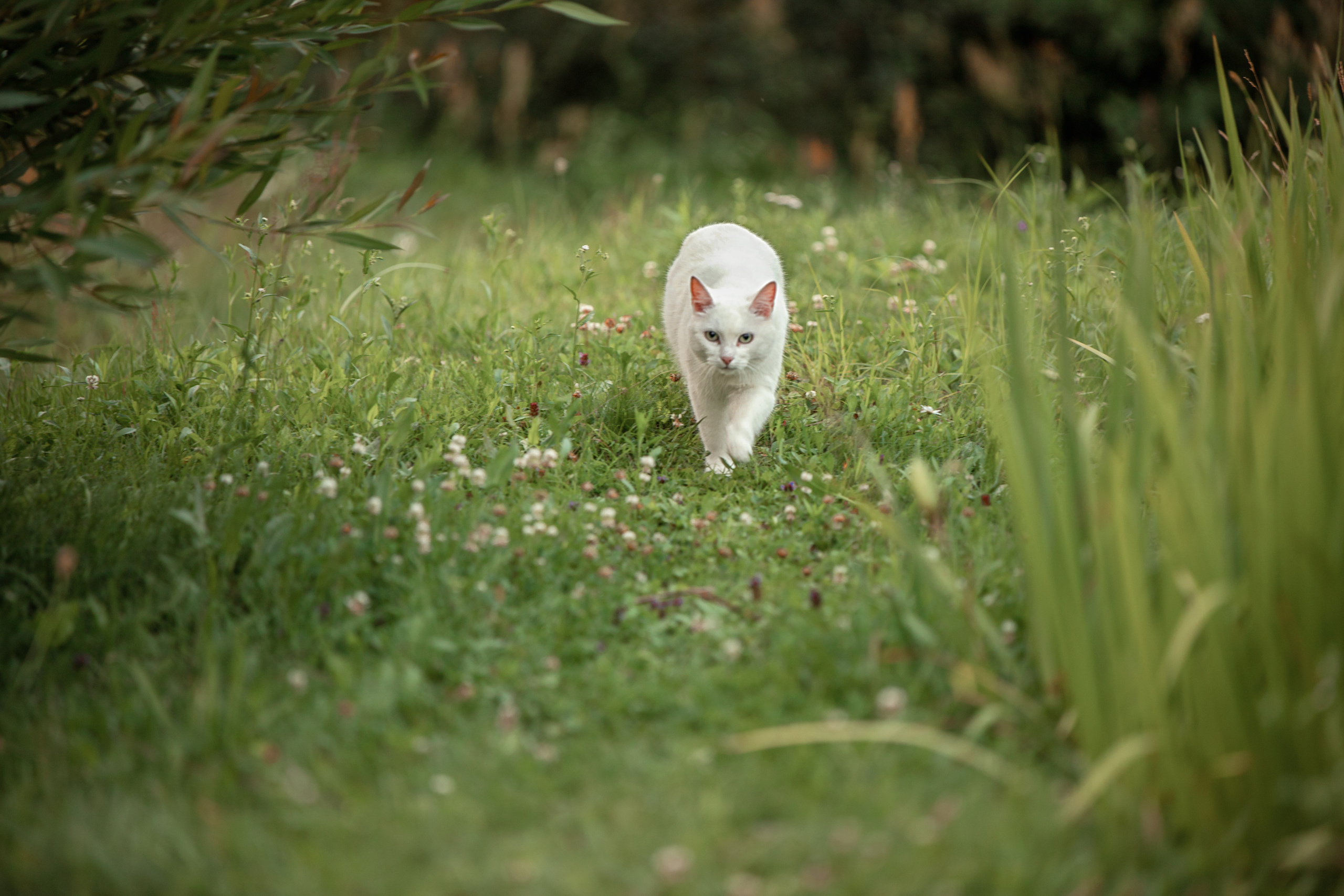 Все работы. Елена Чернигина семейный и детский фотограф в Нижнем Новгороде и Бор