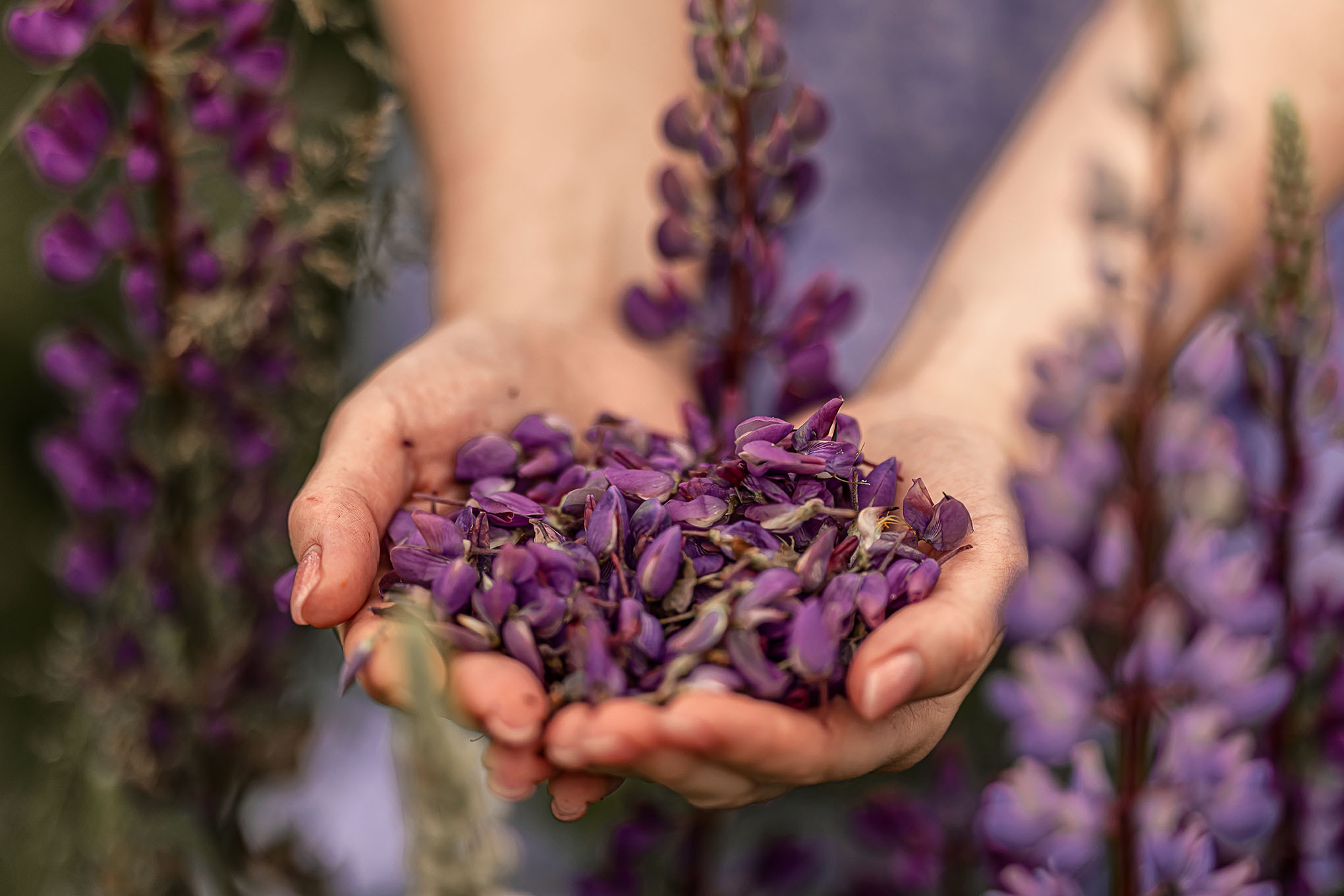 Все работы. Елена Чернигина семейный и детский фотограф в Нижнем Новгороде и Бор