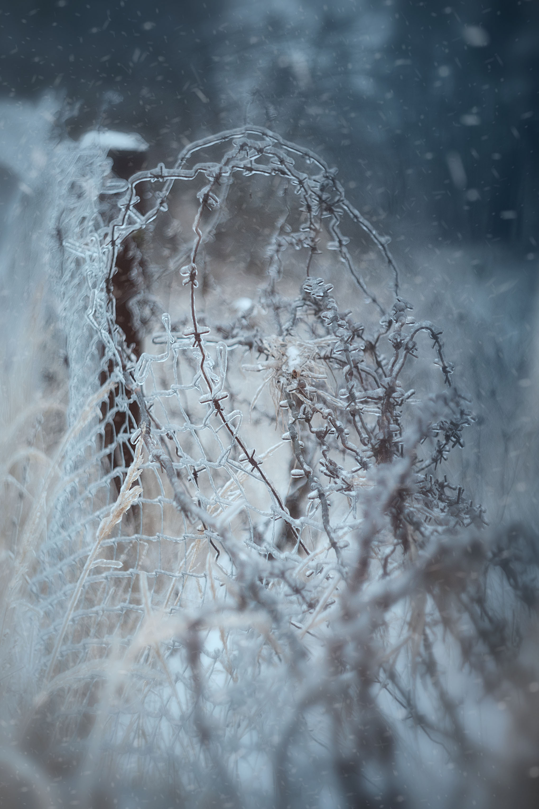 Все работы. Елена Чернигина семейный и детский фотограф в Нижнем Новгороде и Бор