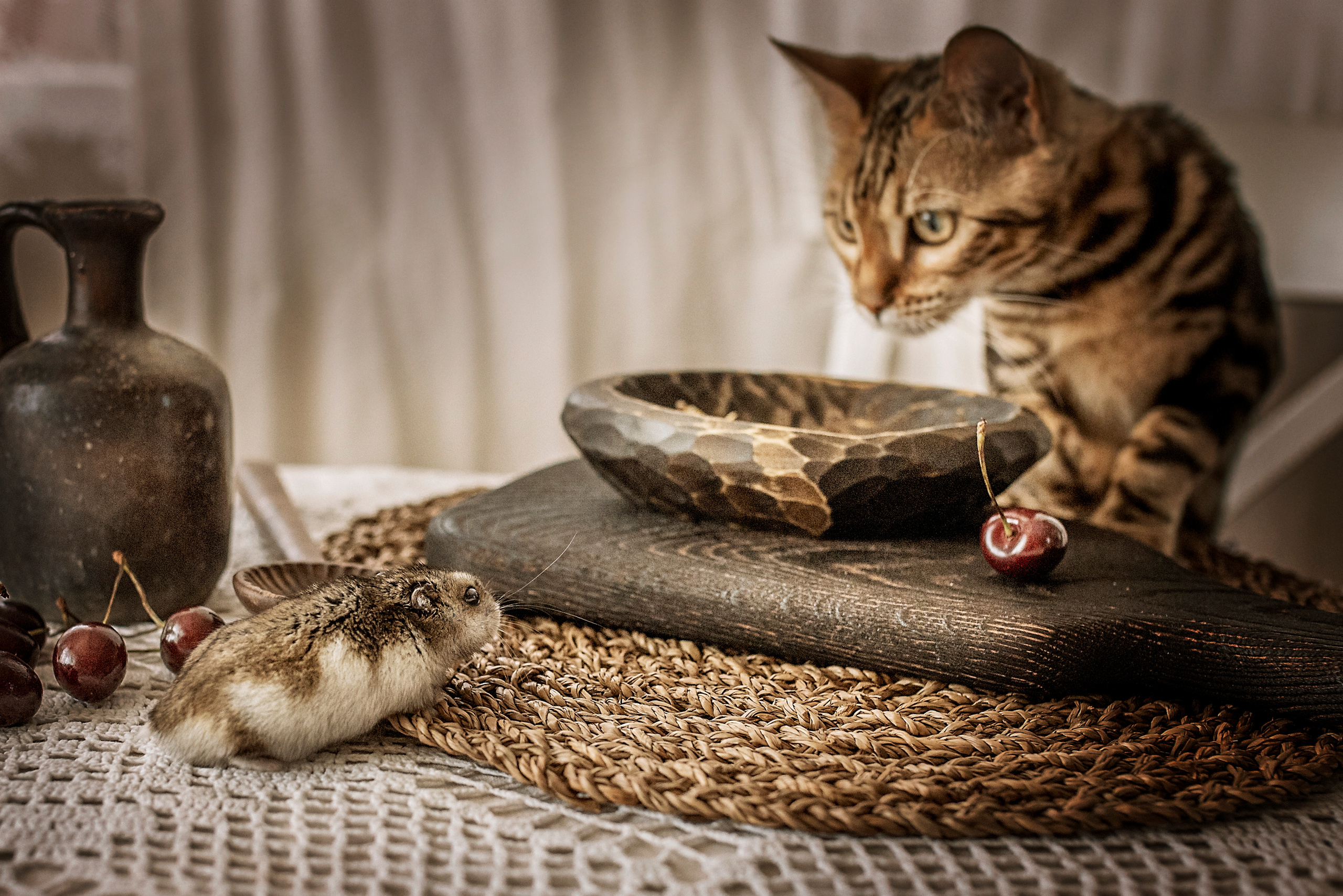 Все работы. Елена Чернигина семейный и детский фотограф в Нижнем Новгороде и Бор