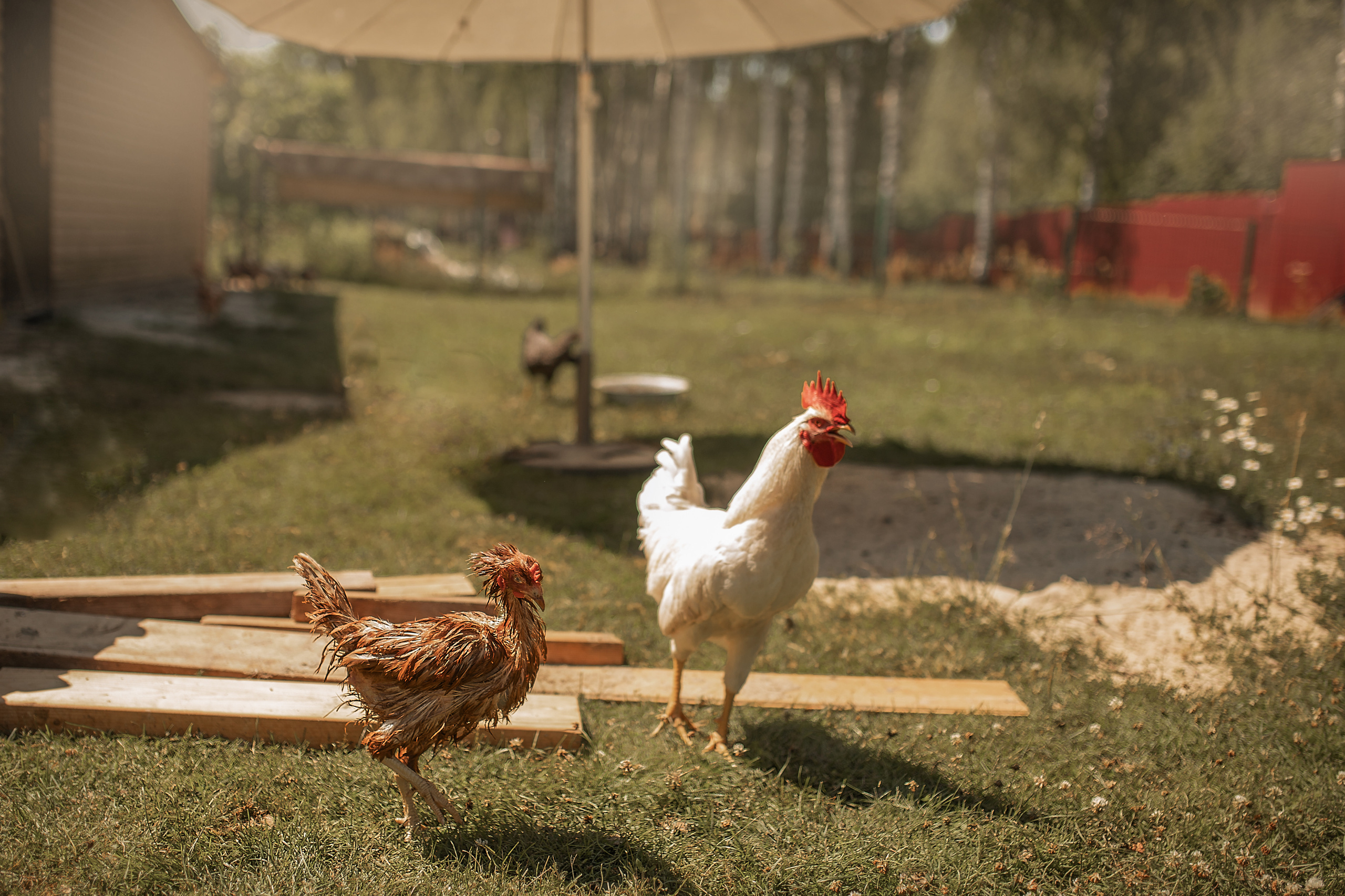 Все работы. Елена Чернигина семейный и детский фотограф в Нижнем Новгороде и Бор