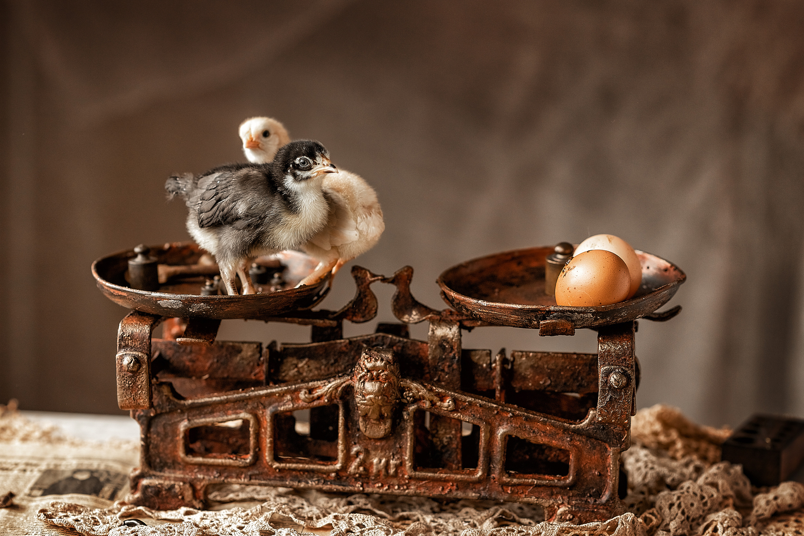 Все работы. Елена Чернигина семейный и детский фотограф в Нижнем Новгороде и Бор