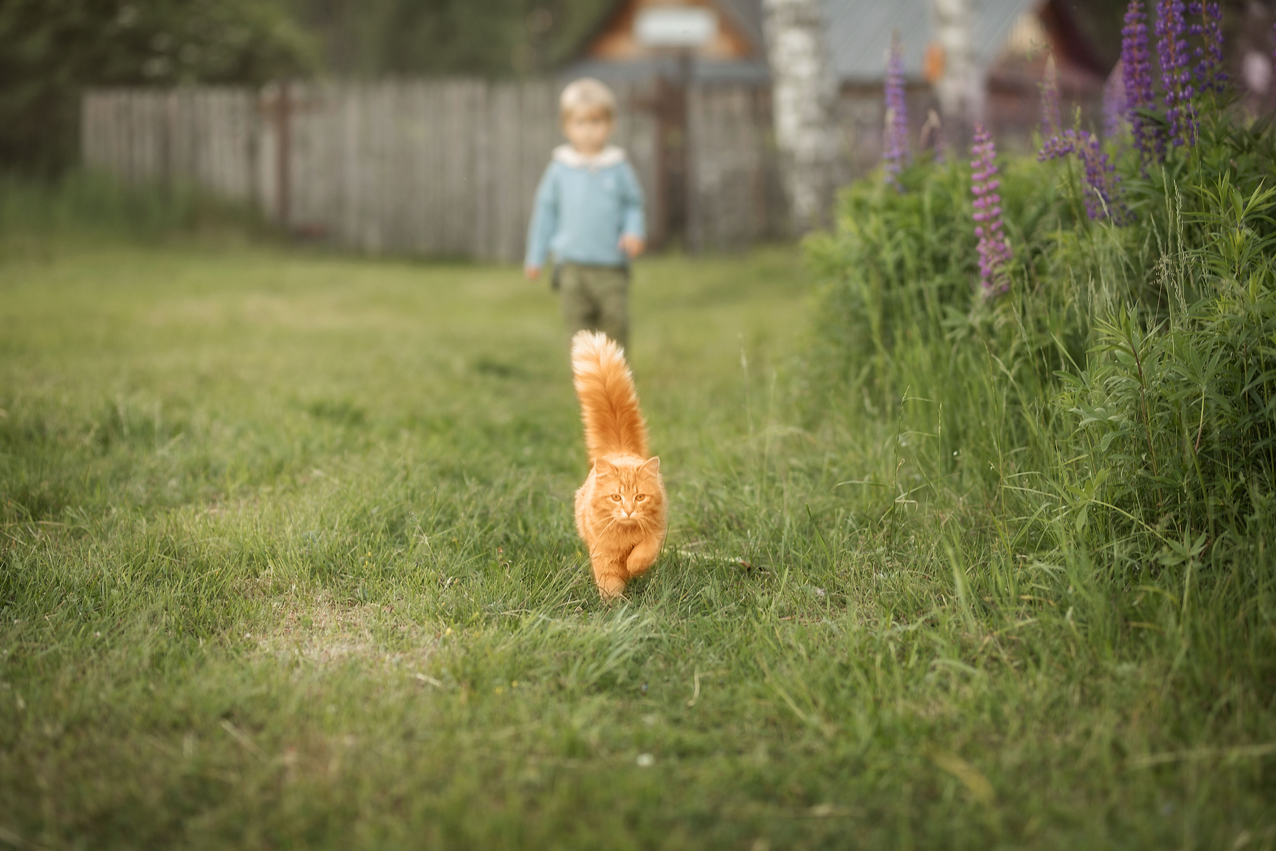 Все работы. Елена Чернигина семейный и детский фотограф в Нижнем Новгороде и Бор