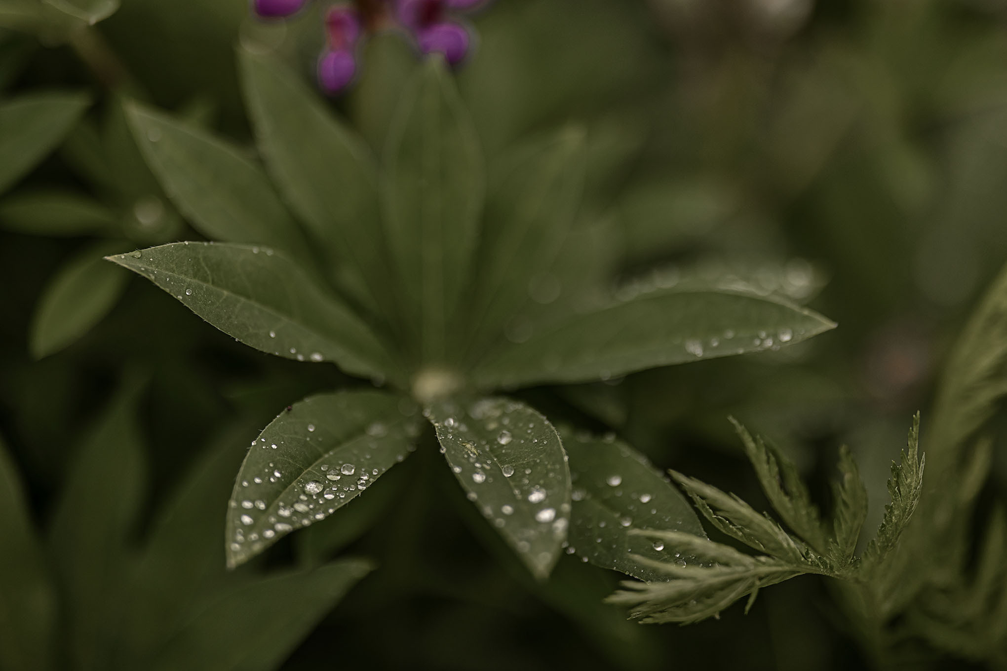 Все работы. Елена Чернигина семейный и детский фотограф в Нижнем Новгороде и Бор