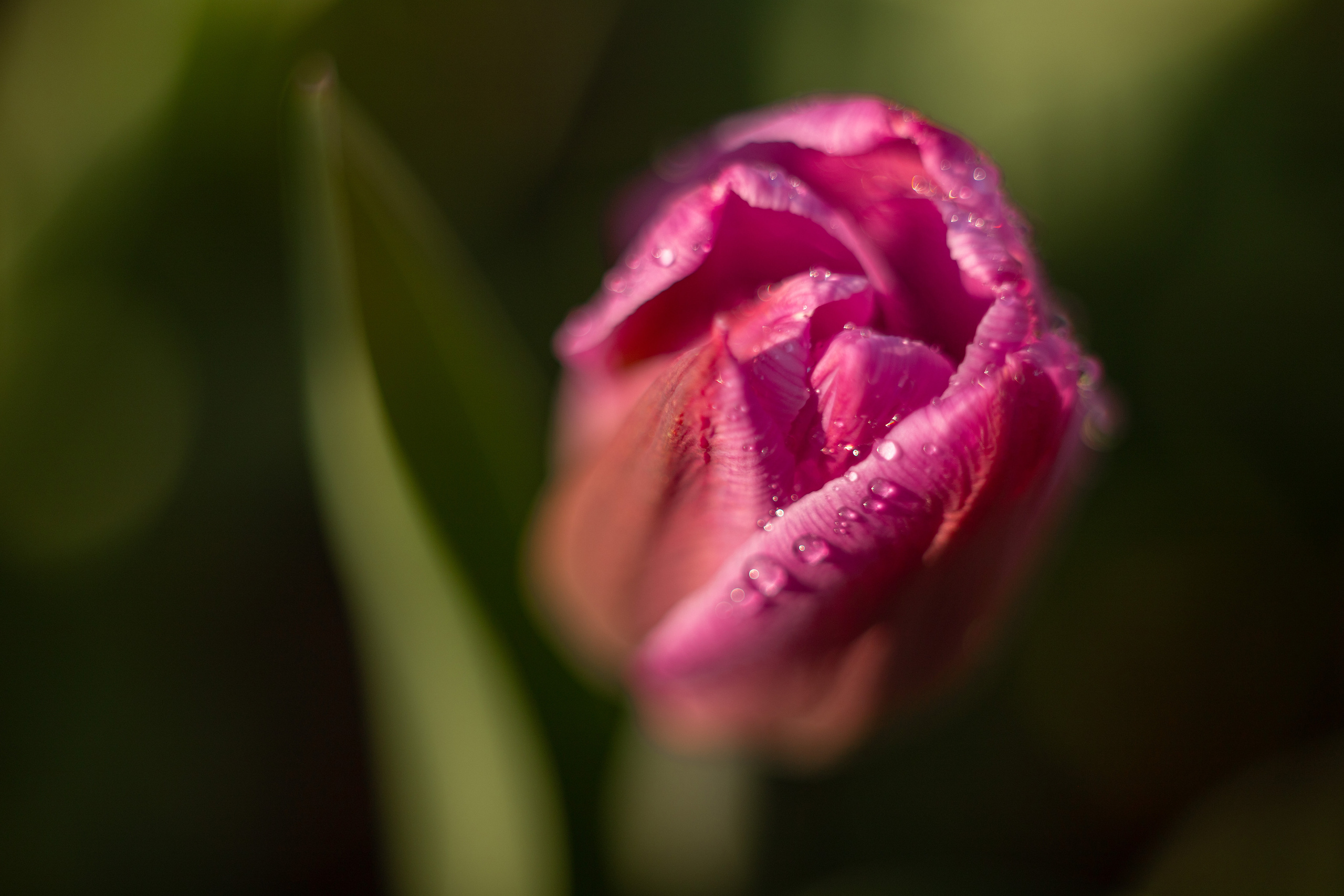 Все работы. Елена Чернигина семейный и детский фотограф в Нижнем Новгороде и Бор