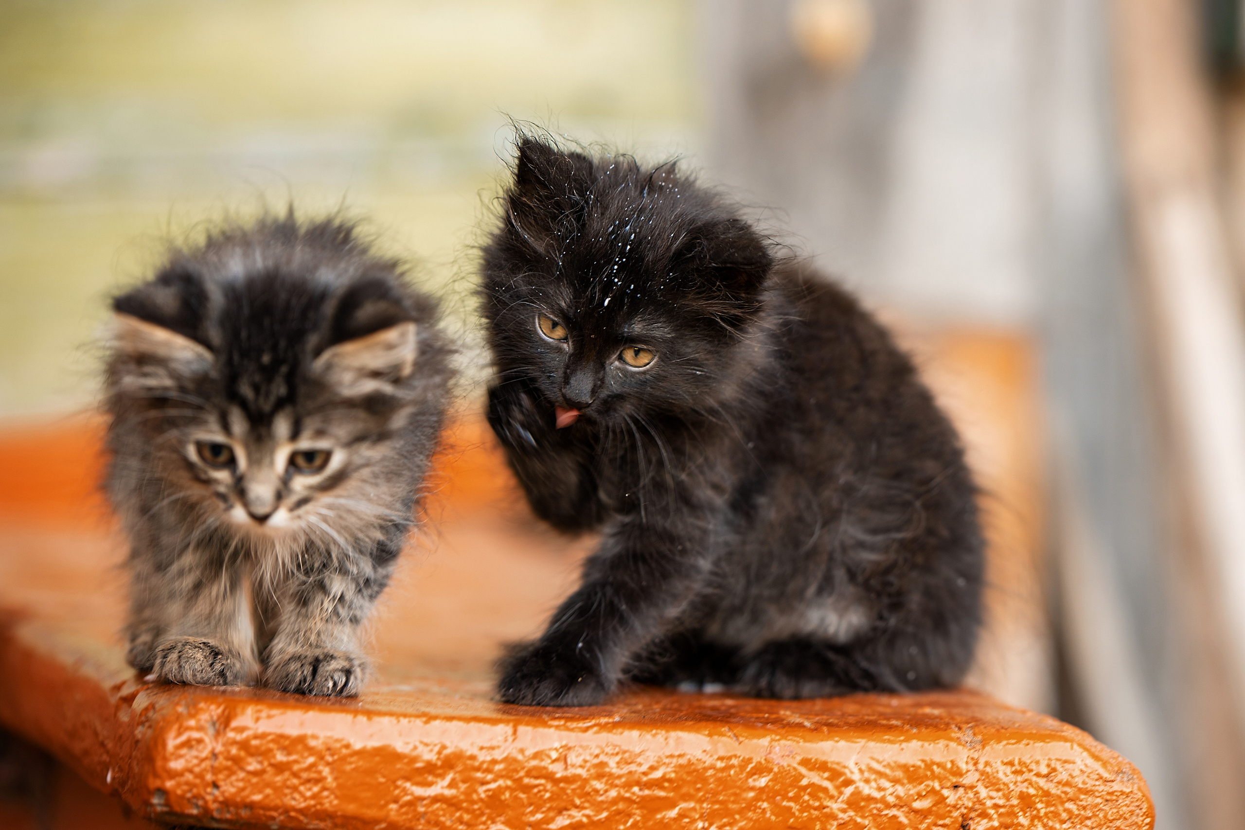 Все работы. Елена Чернигина семейный и детский фотограф в Нижнем Новгороде и Бор