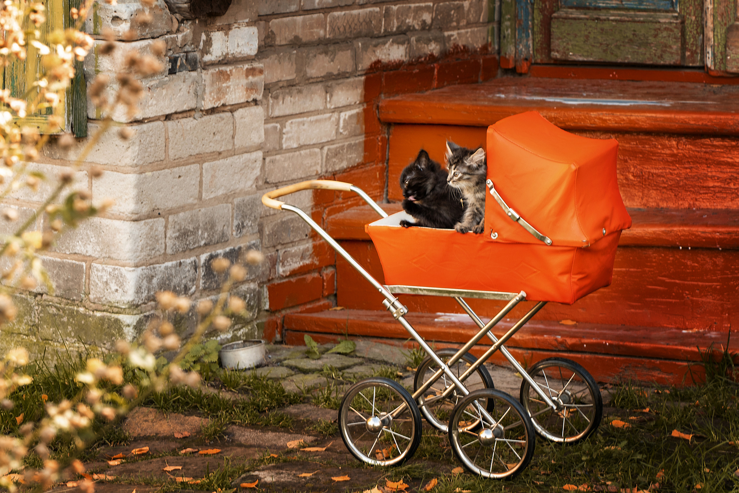 Все работы. Елена Чернигина семейный и детский фотограф в Нижнем Новгороде и Бор