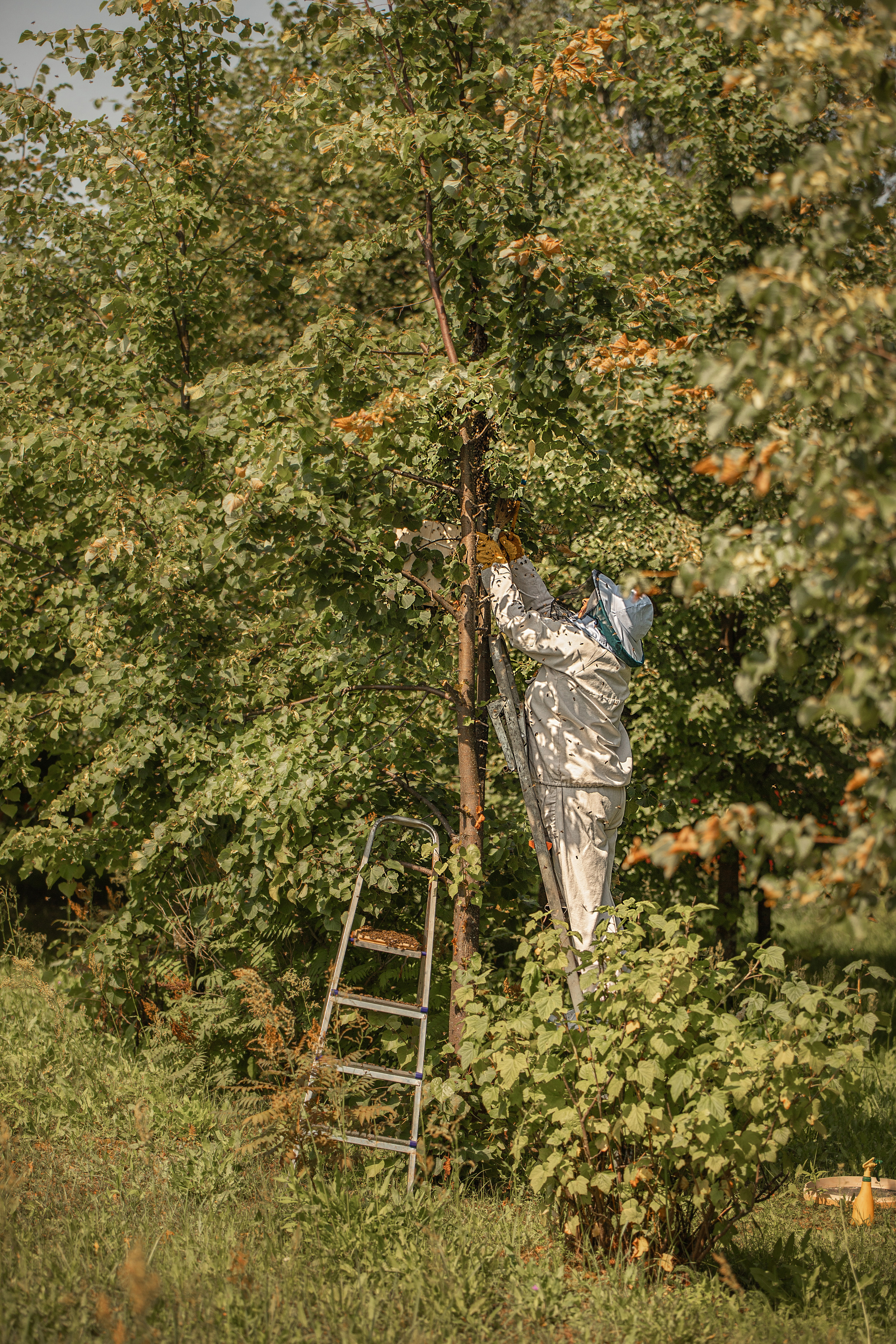 Все работы. Елена Чернигина семейный и детский фотограф в Нижнем Новгороде и Бор