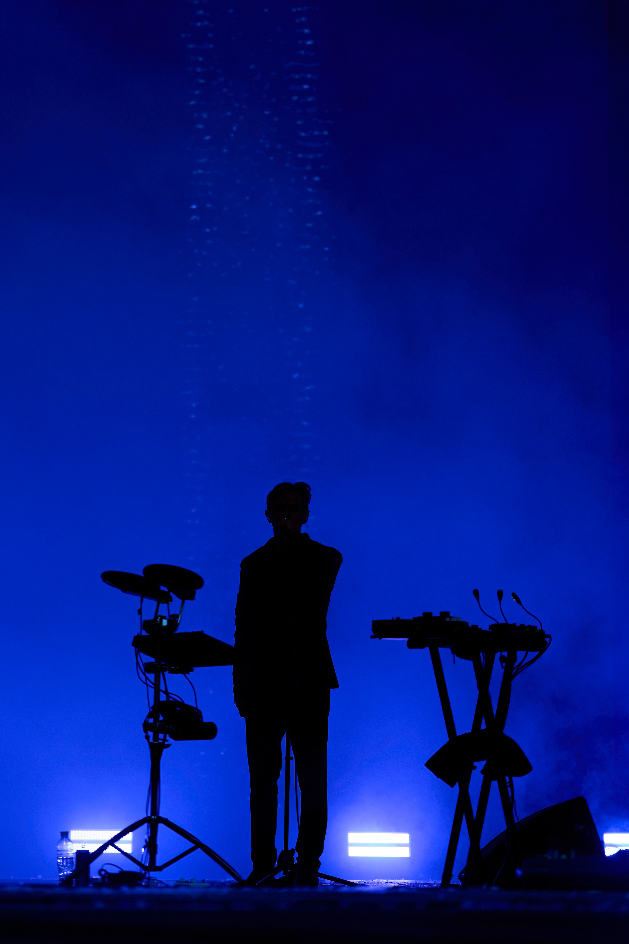 ДЕЛЬФИН / ЗЕЛЕНЫЙ ТЕАТР / 09.06.2024. Ekhovanov | фото- видеосъемка