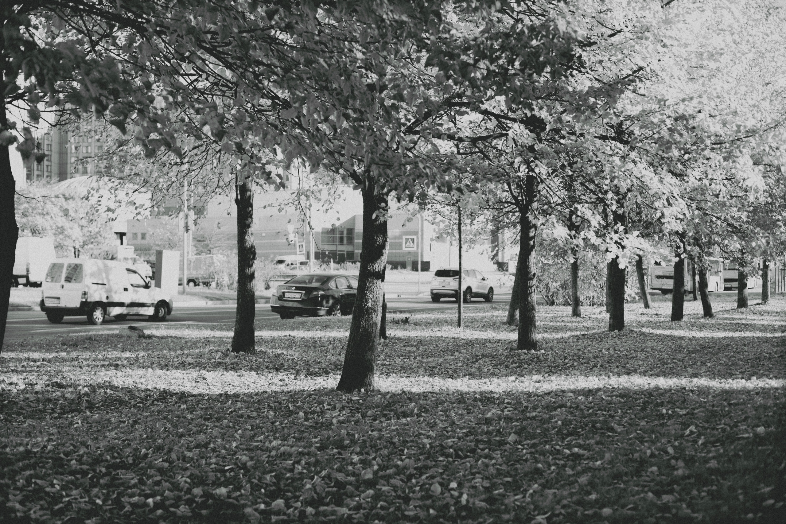 Elin. Валерия Трофимова ФОТОГРАФ|Санкт-Петербург |Крым
