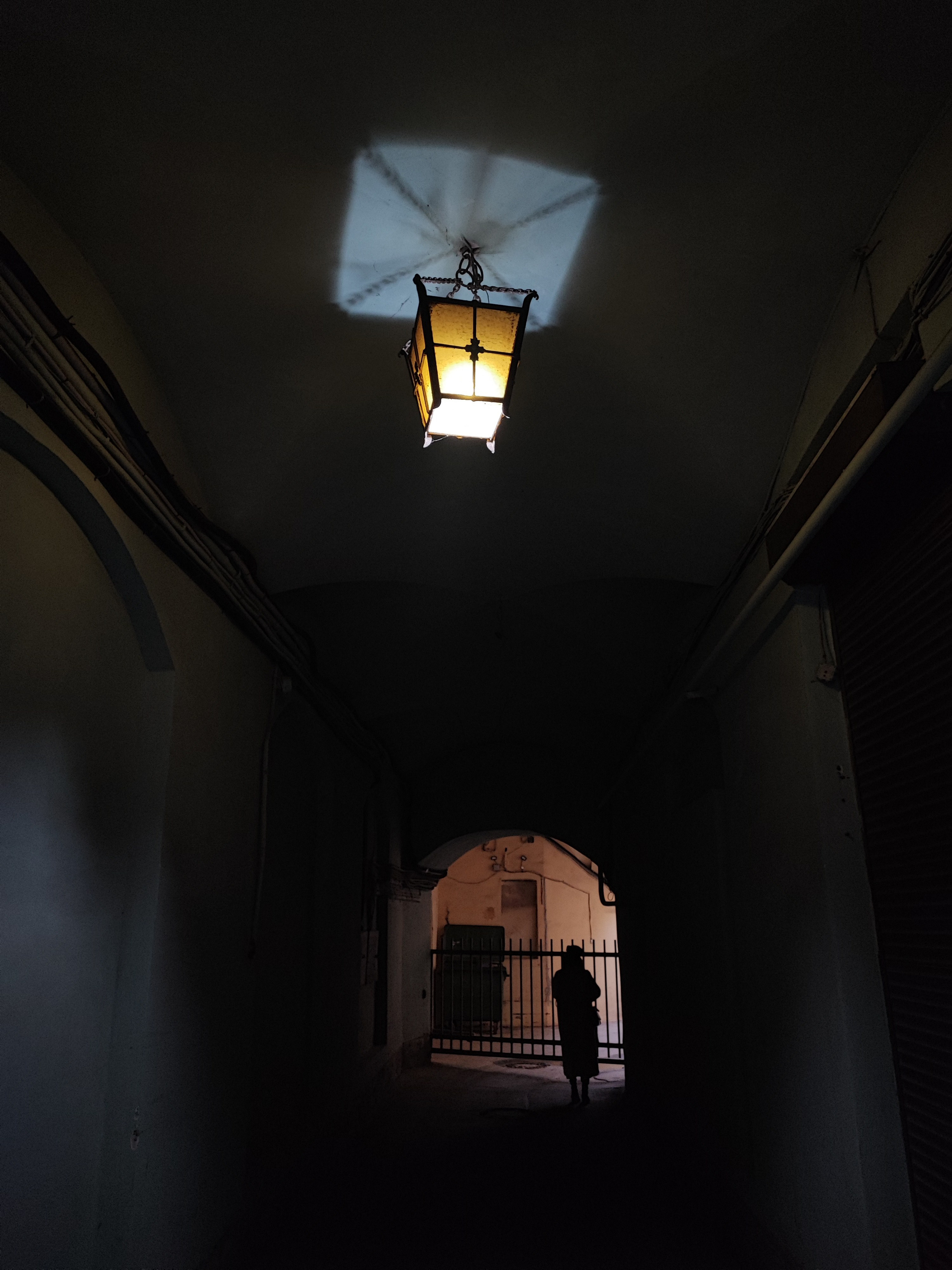 Намобилкус питерский. Репортажный фотограф Алексей Пирязев