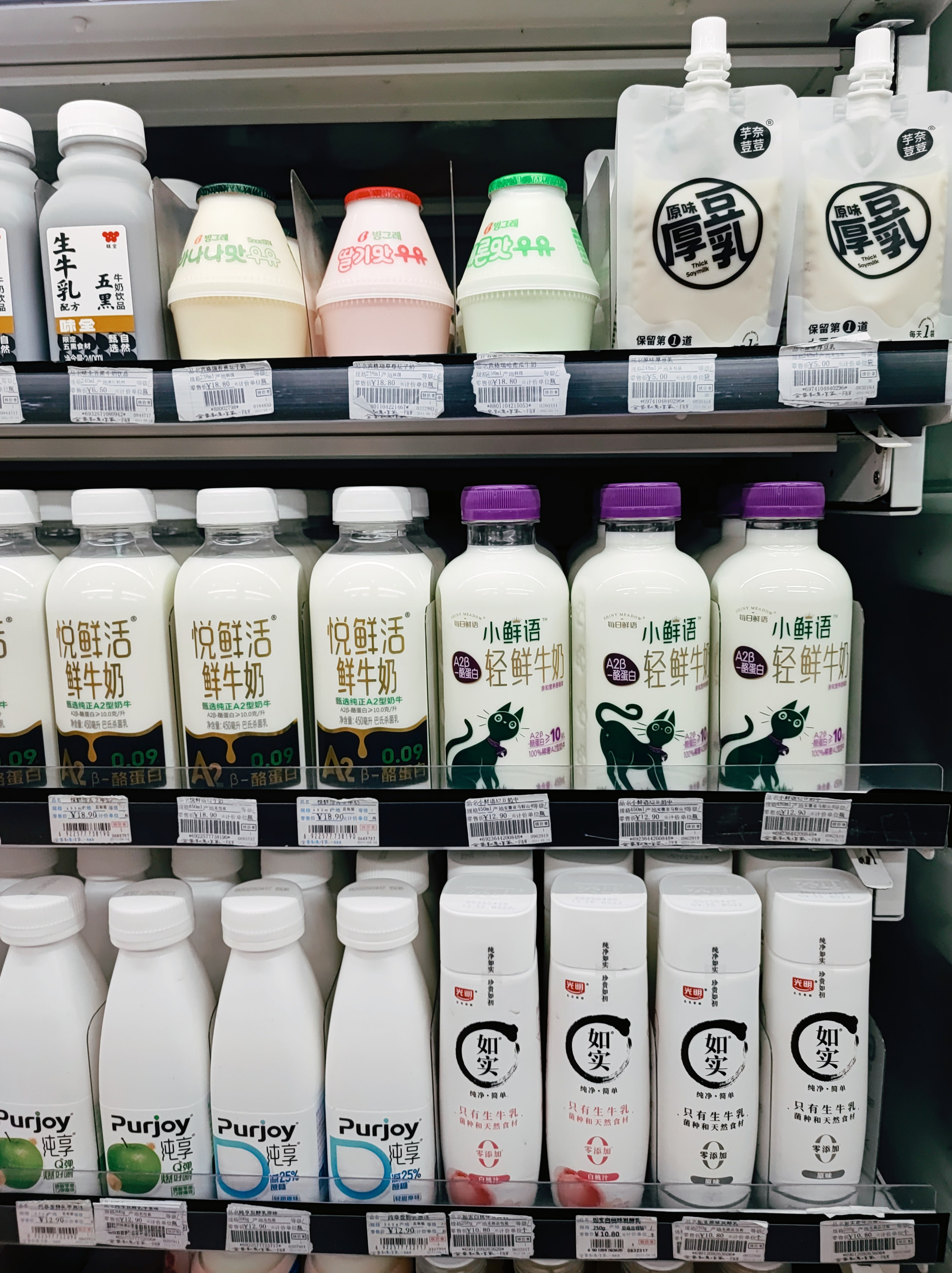 Намобилкус китайский. Репортажный фотограф Алексей Пирязев