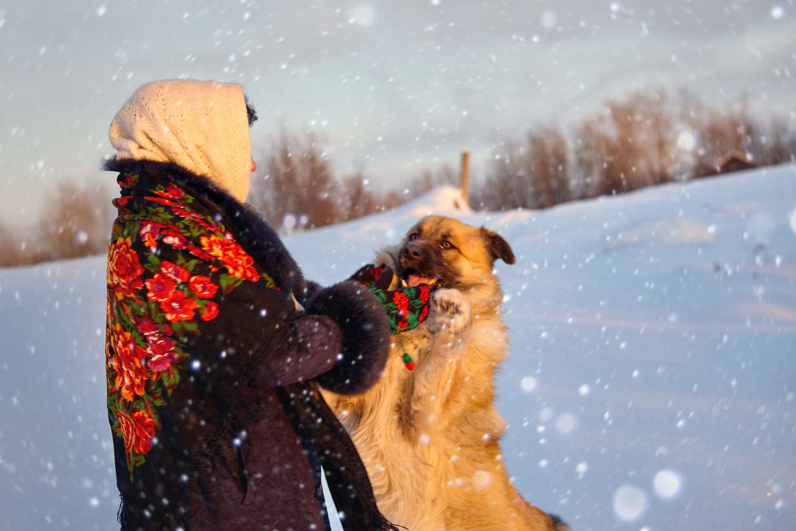 Портрет Мамы. DMITRY MOISEENKO — фотограф, художник, топ-стилист