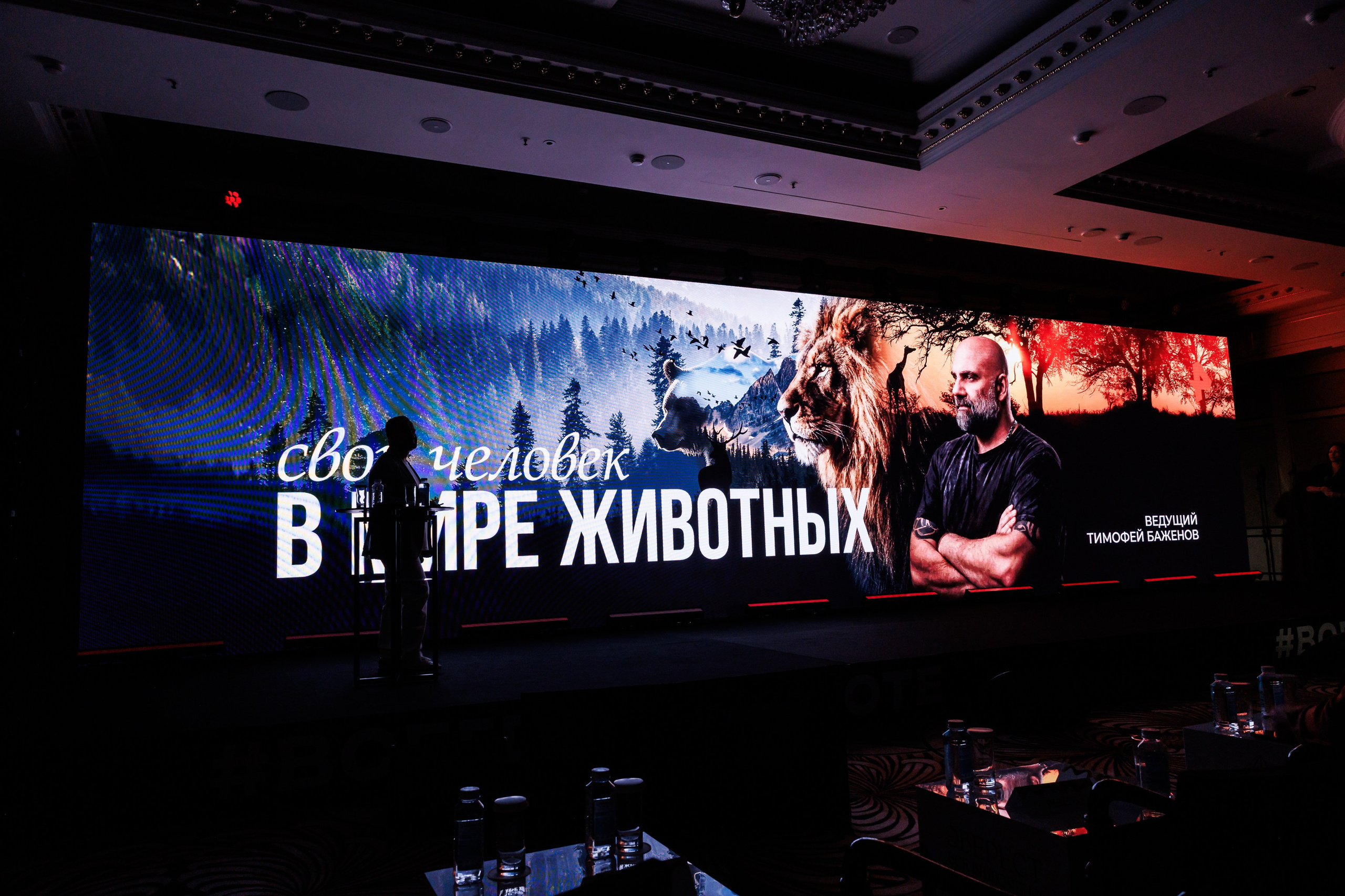 КОНФЕРЕНЦИЯ ВСЕ ВКЛЮЧЕНО 07.07.2026. EVEREST PHOTO REPORT