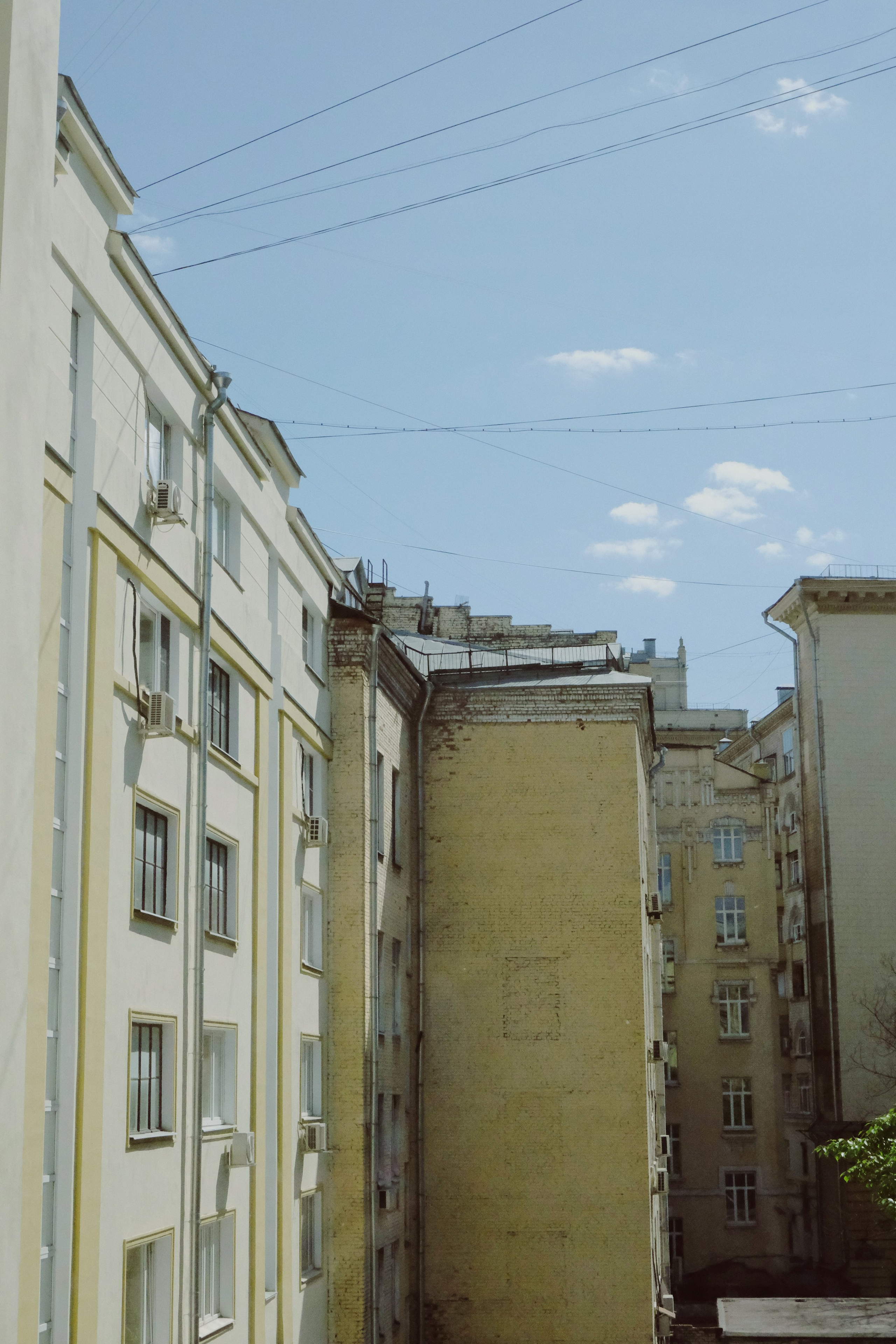 Проект «улыбка радости». Татьян гертье