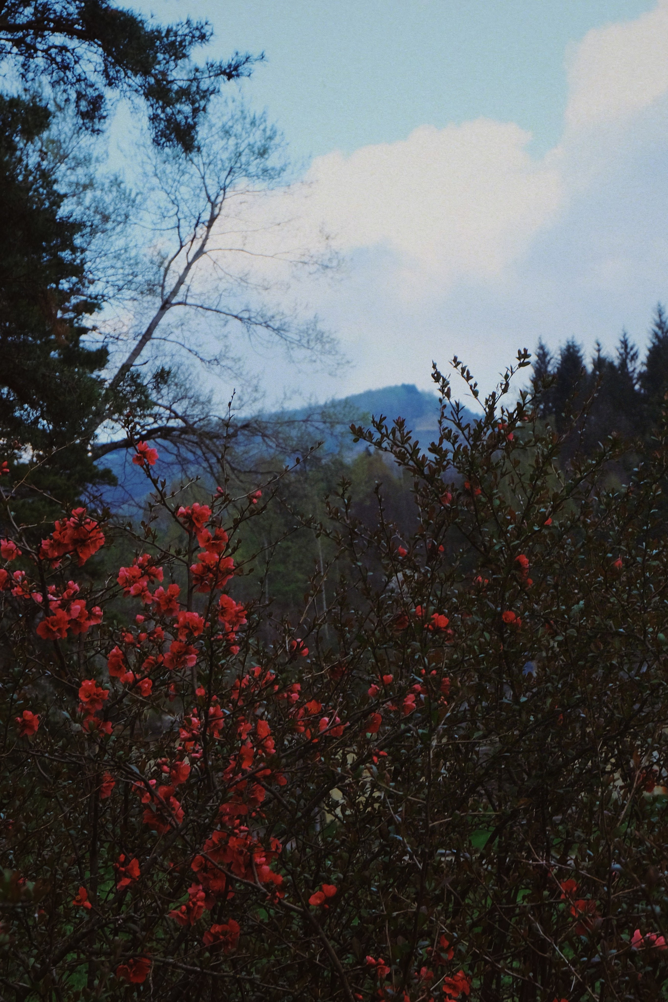 Кисловодск. Татьян гертье