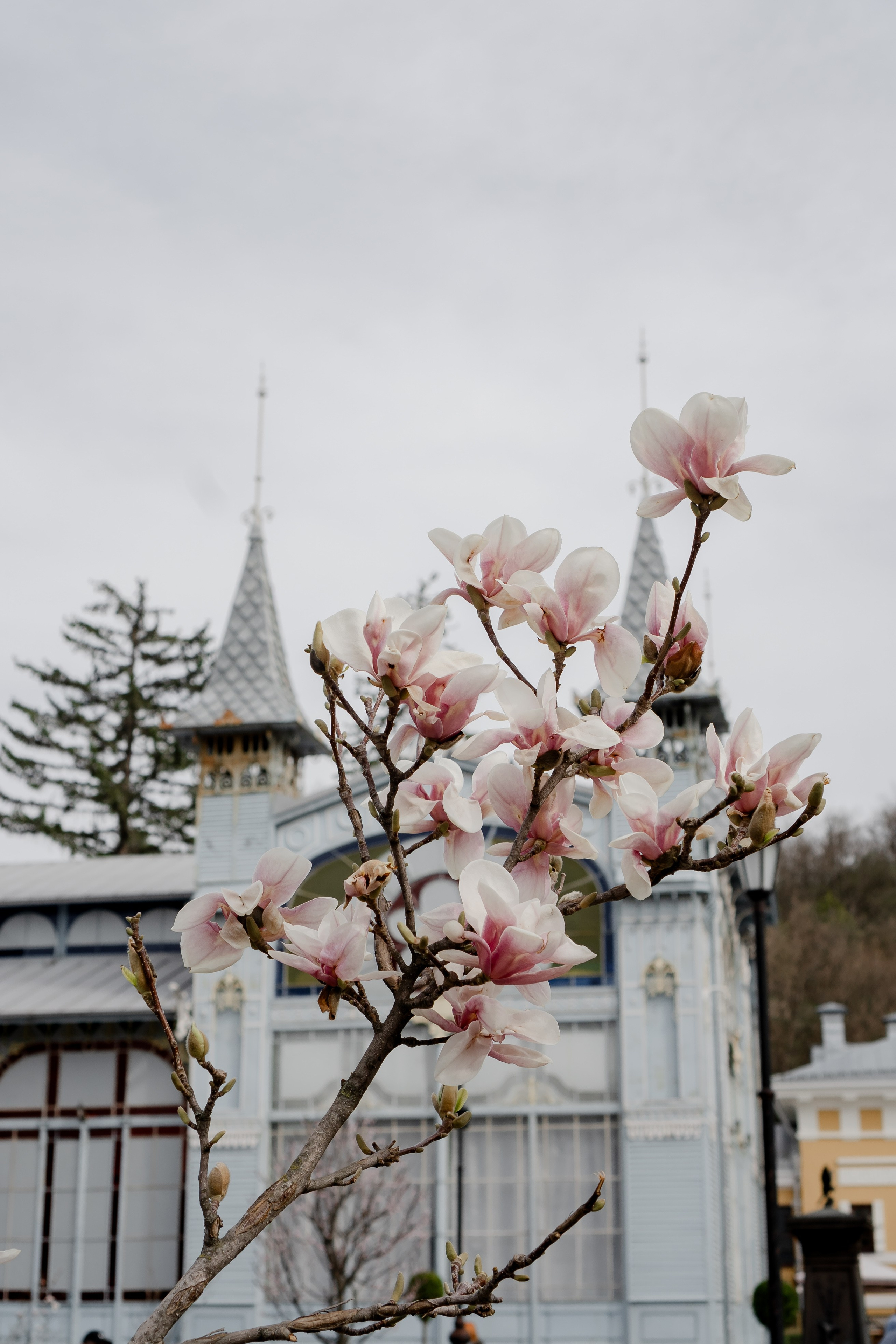 ПЯТИГОРСК. Профессиональный фотограф, Санкт-Петербург — Виктория Богомолова