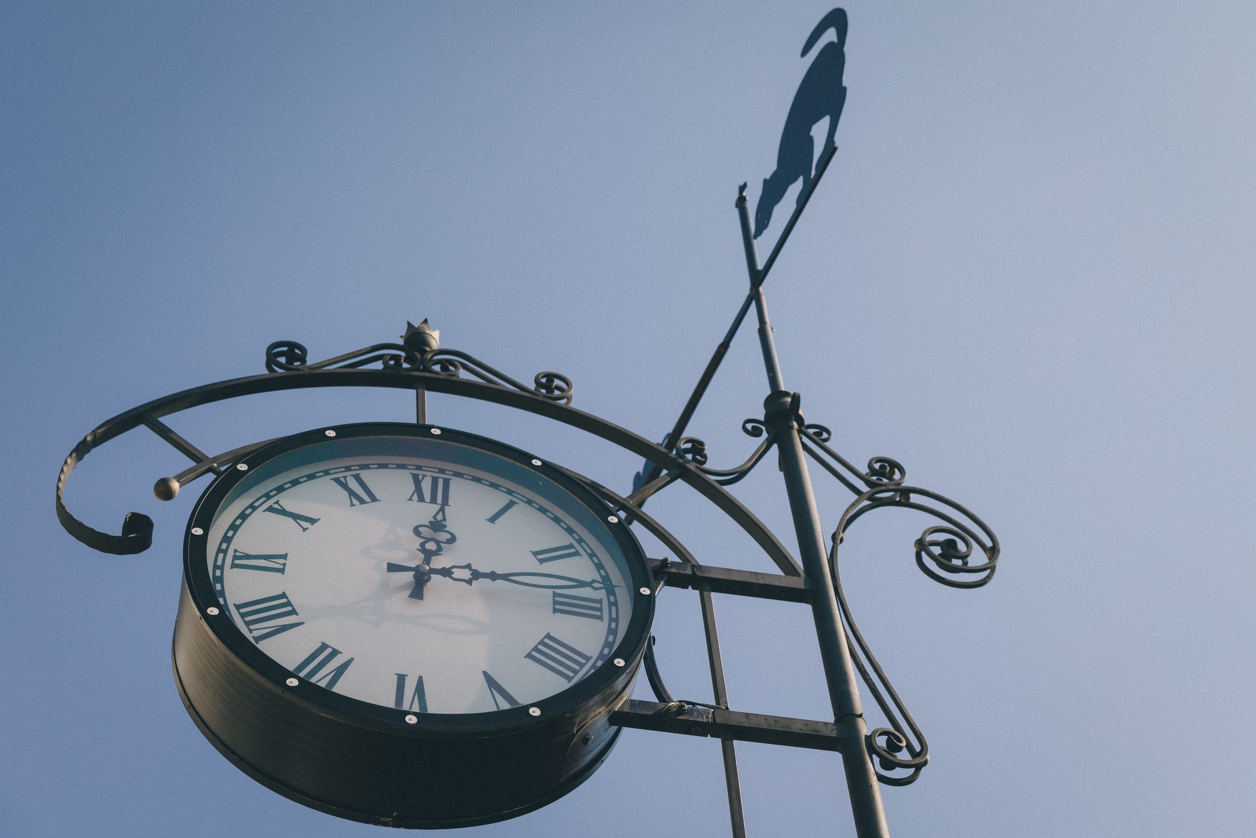 Из Петербурга в Зеленоградск на свадьбу!. Фотограф Зеленоградск Красильникова Елена