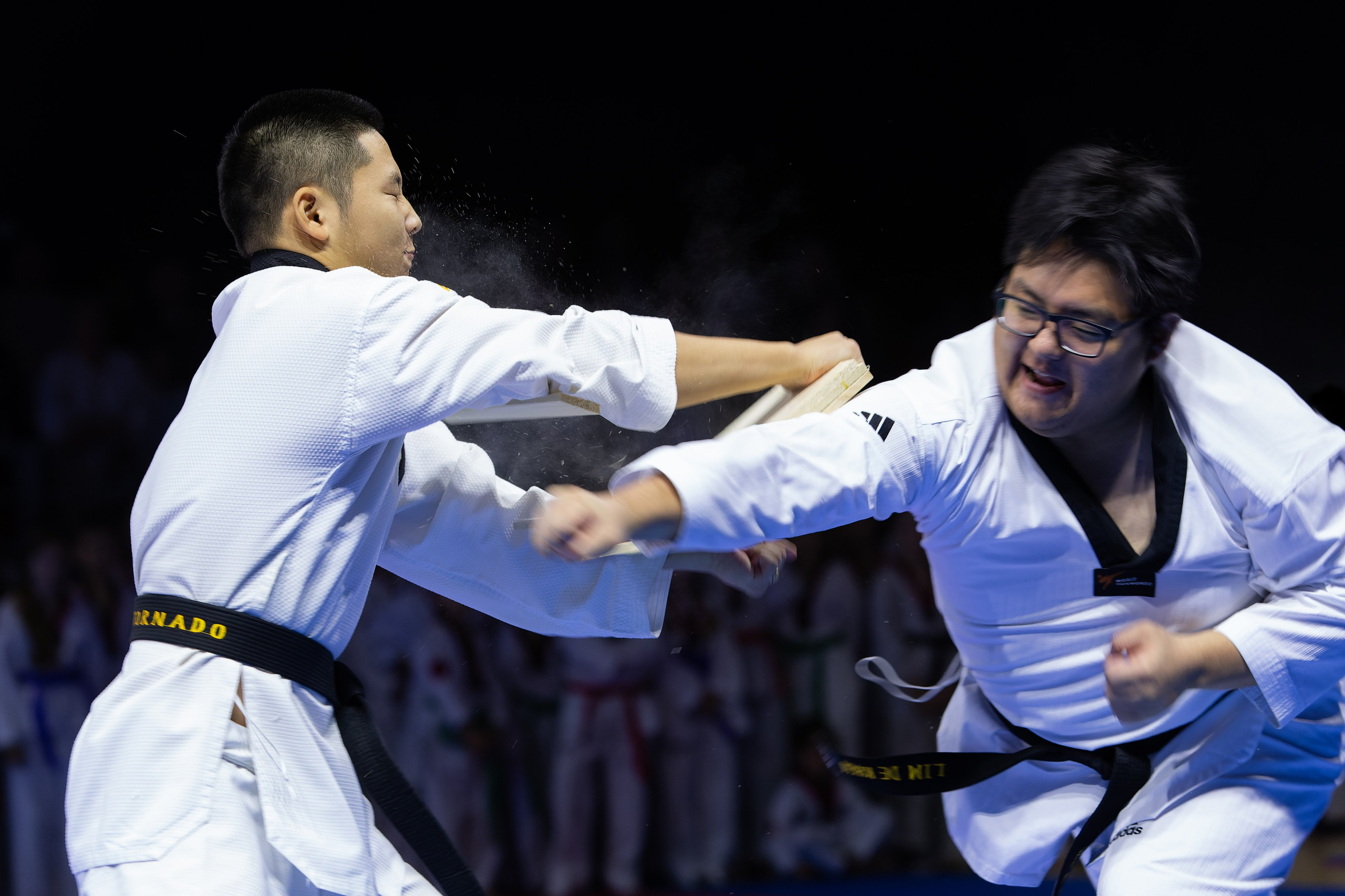 Дальневосточный фестиваль восточных единоборств. Кутузов Евгений Фотограф в Южно-Сахалинске