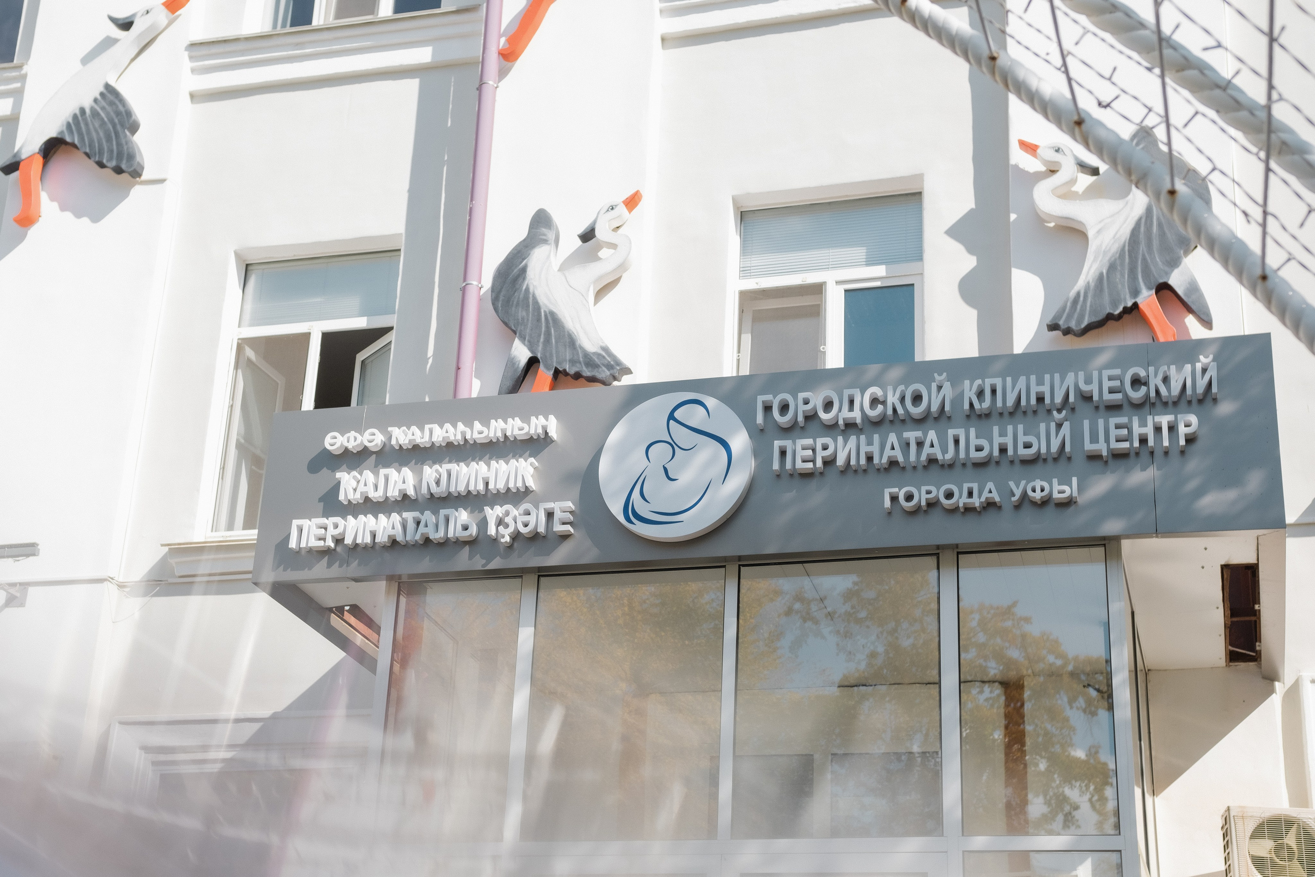 Мирон, первый день дома. Семейный фотограф Уфа Головченко Анастасия