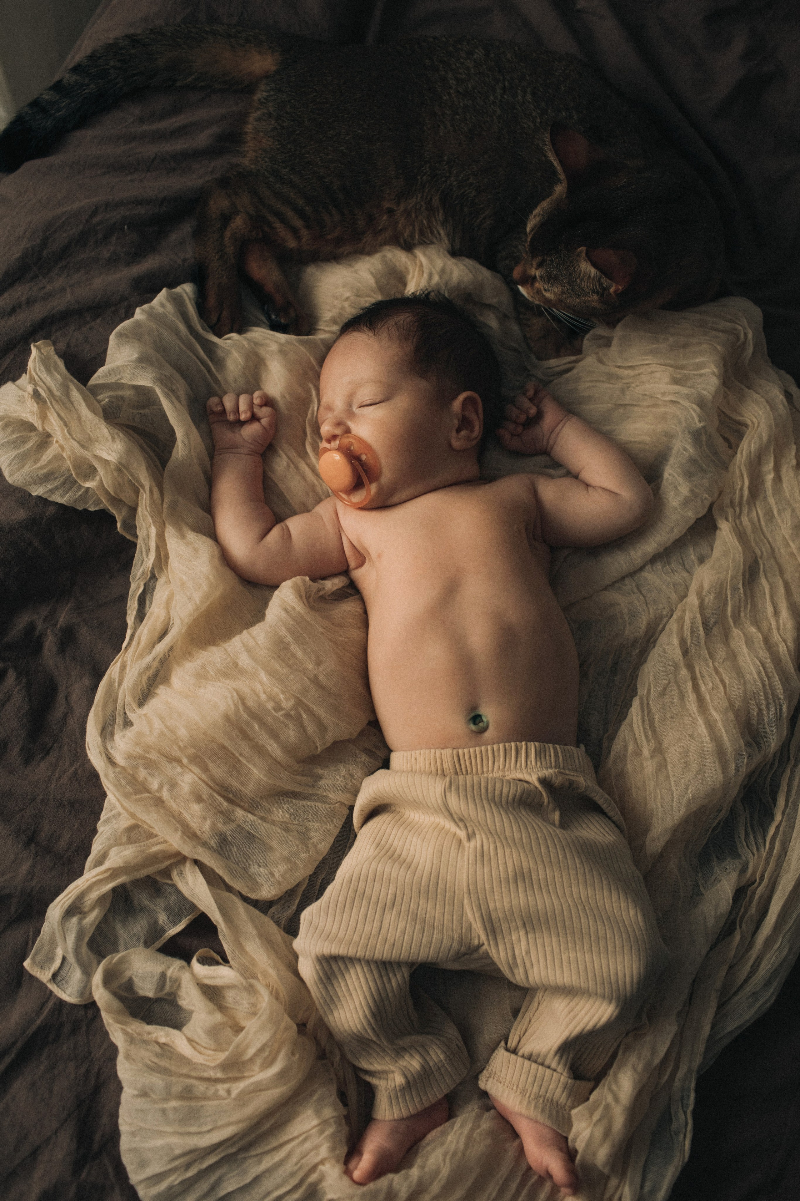 Матвей, Даша, Дима. Семейный фотограф Томск