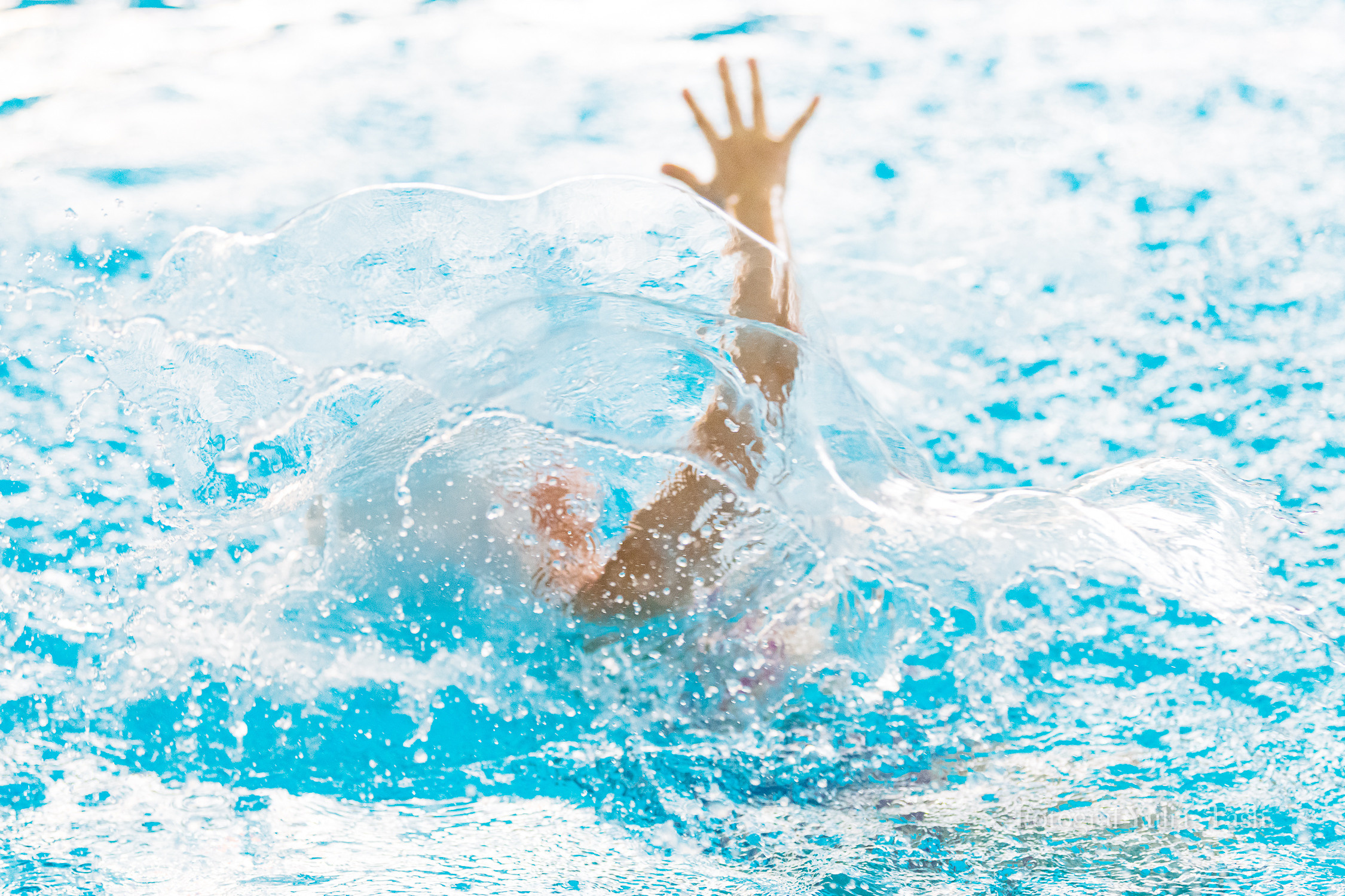 Краевые соревнования по синхронному плаванию «Рождественские встречи» 8 янв2023. Любимый фотограф