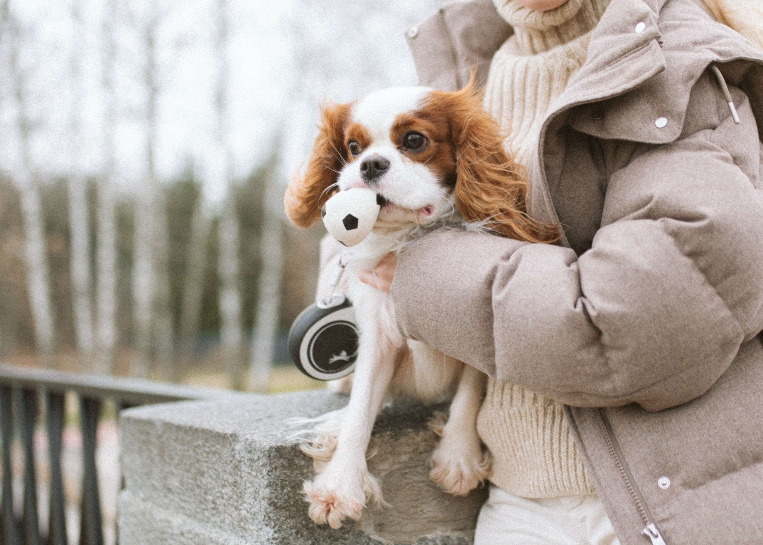 Настя и Тэйлор. Фотограф анималист в Москве Ольга Агушева