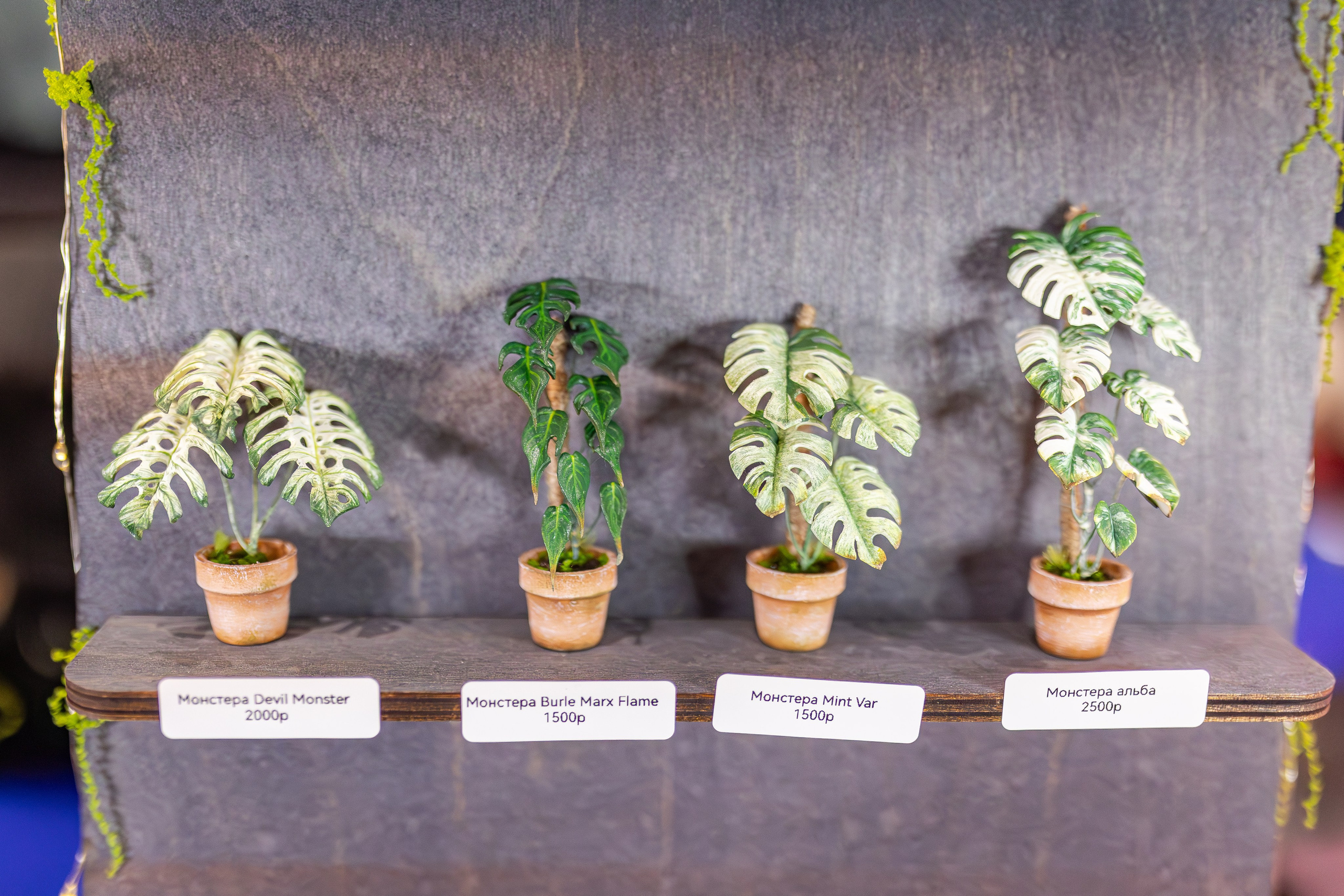 Монстериум апрель 2026. Александра Куликова фотограф, Москва