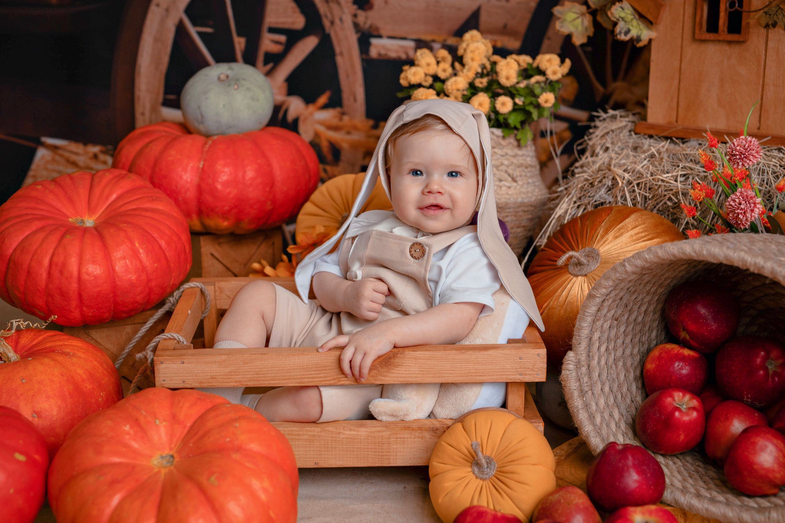 Тыквы. Фотограф Болотова Иветта
