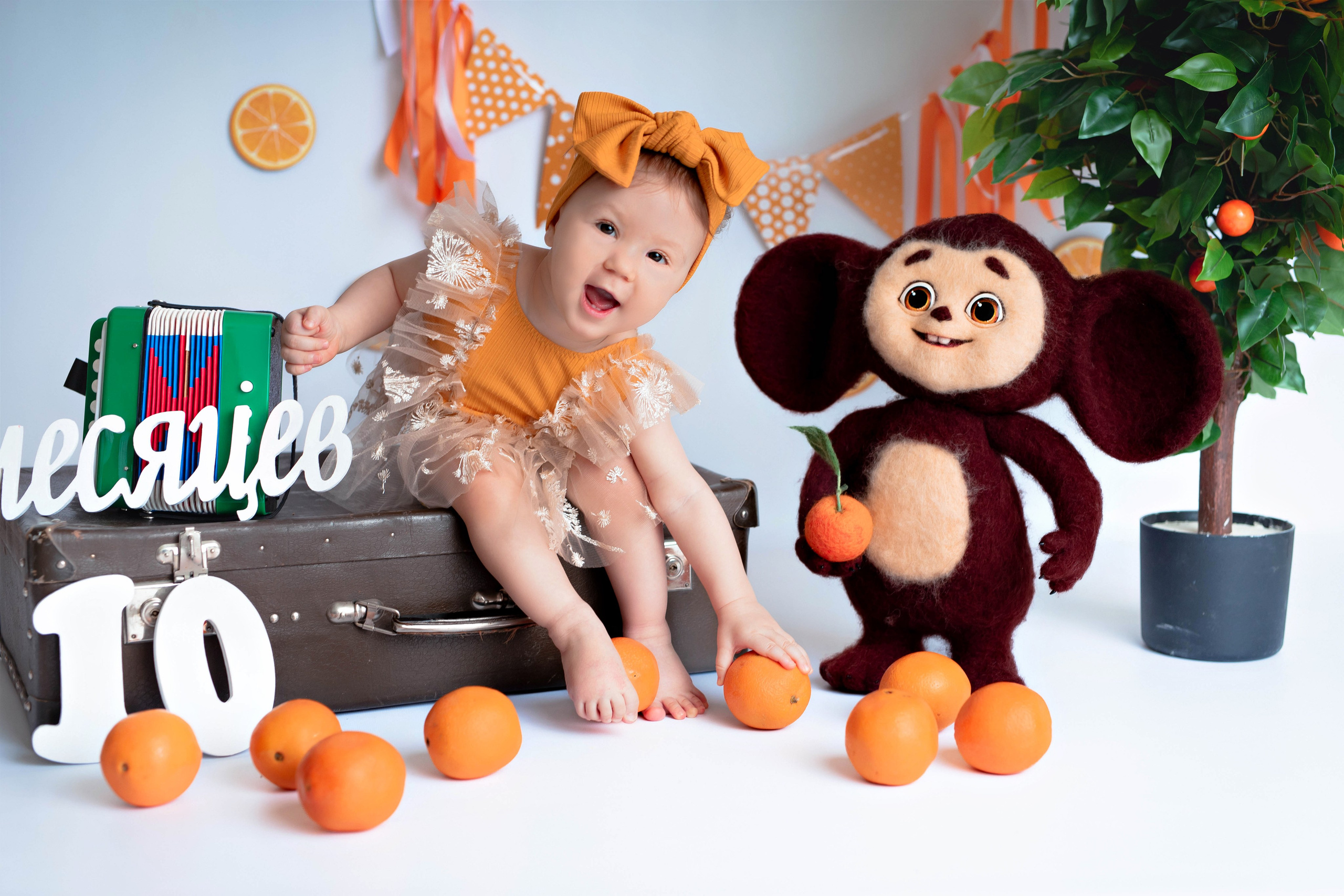 Апельсины. Фотограф Болотова Иветта