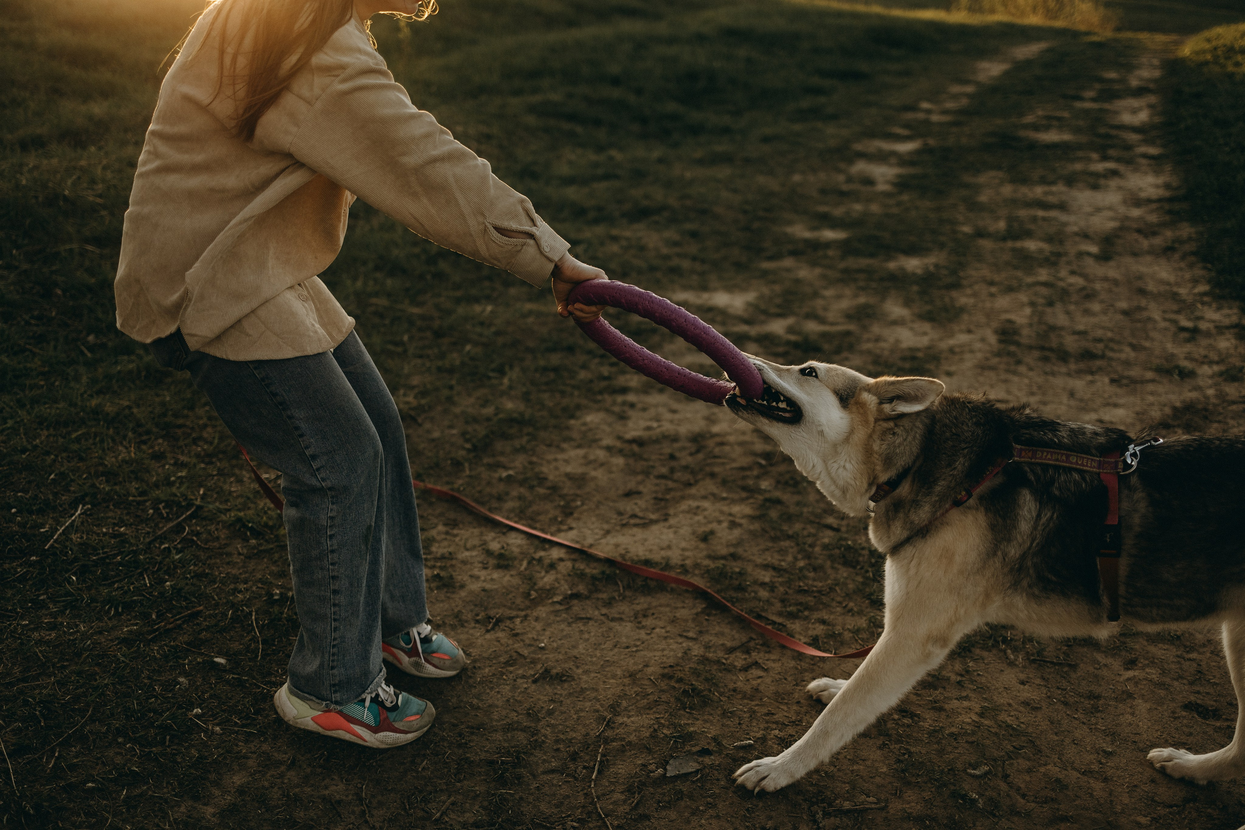 Саша и Зельда. Фотограф — Анималист | Санкт-Петербург