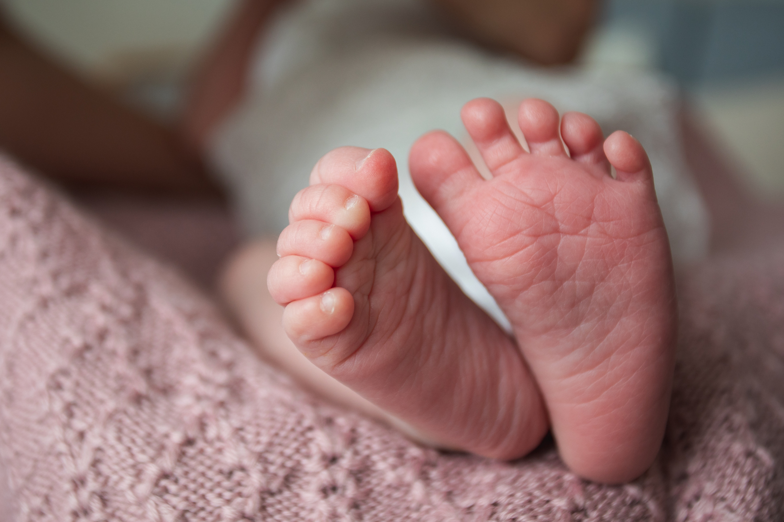 New born. Андрей Колесник