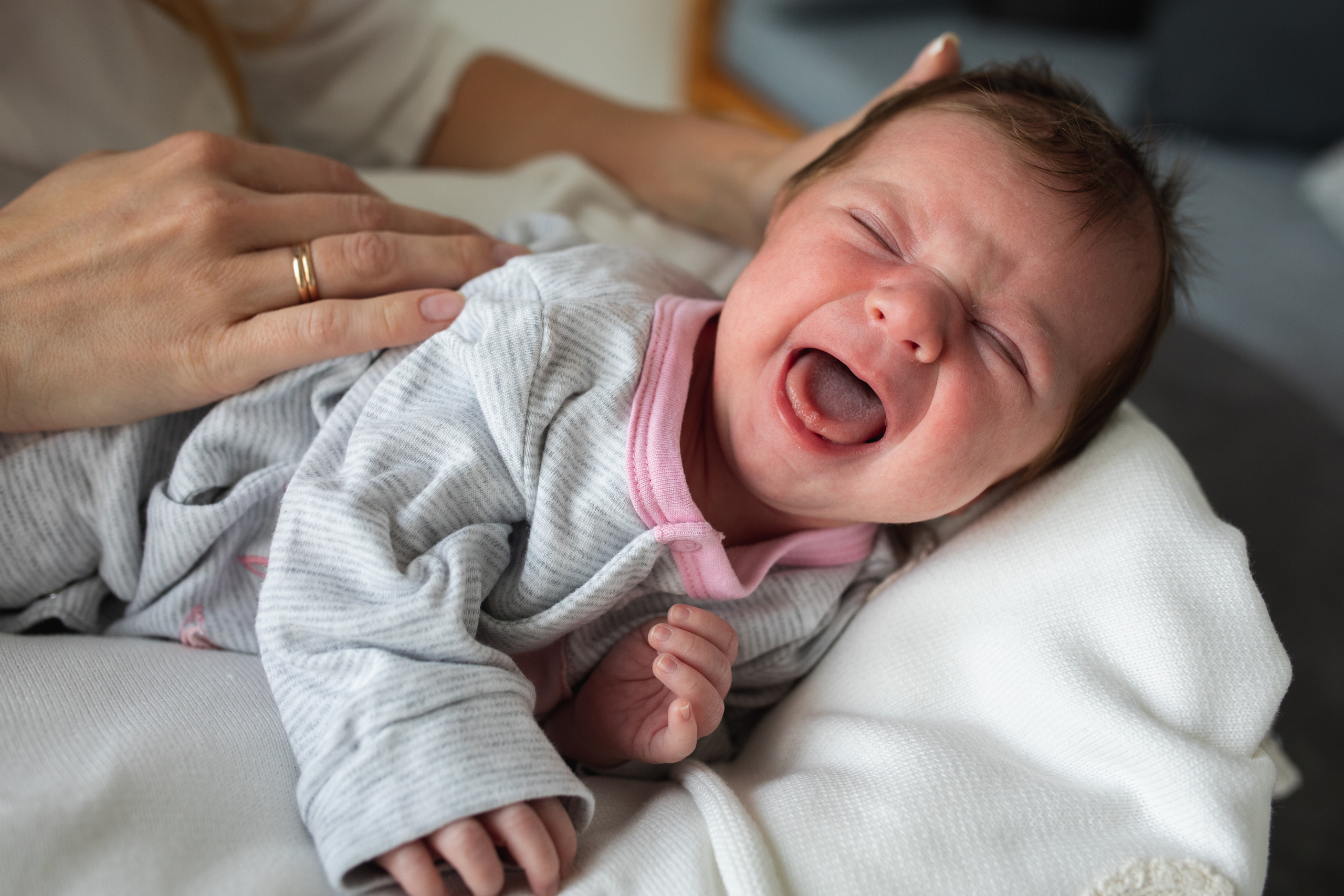 New born. Андрей Колесник